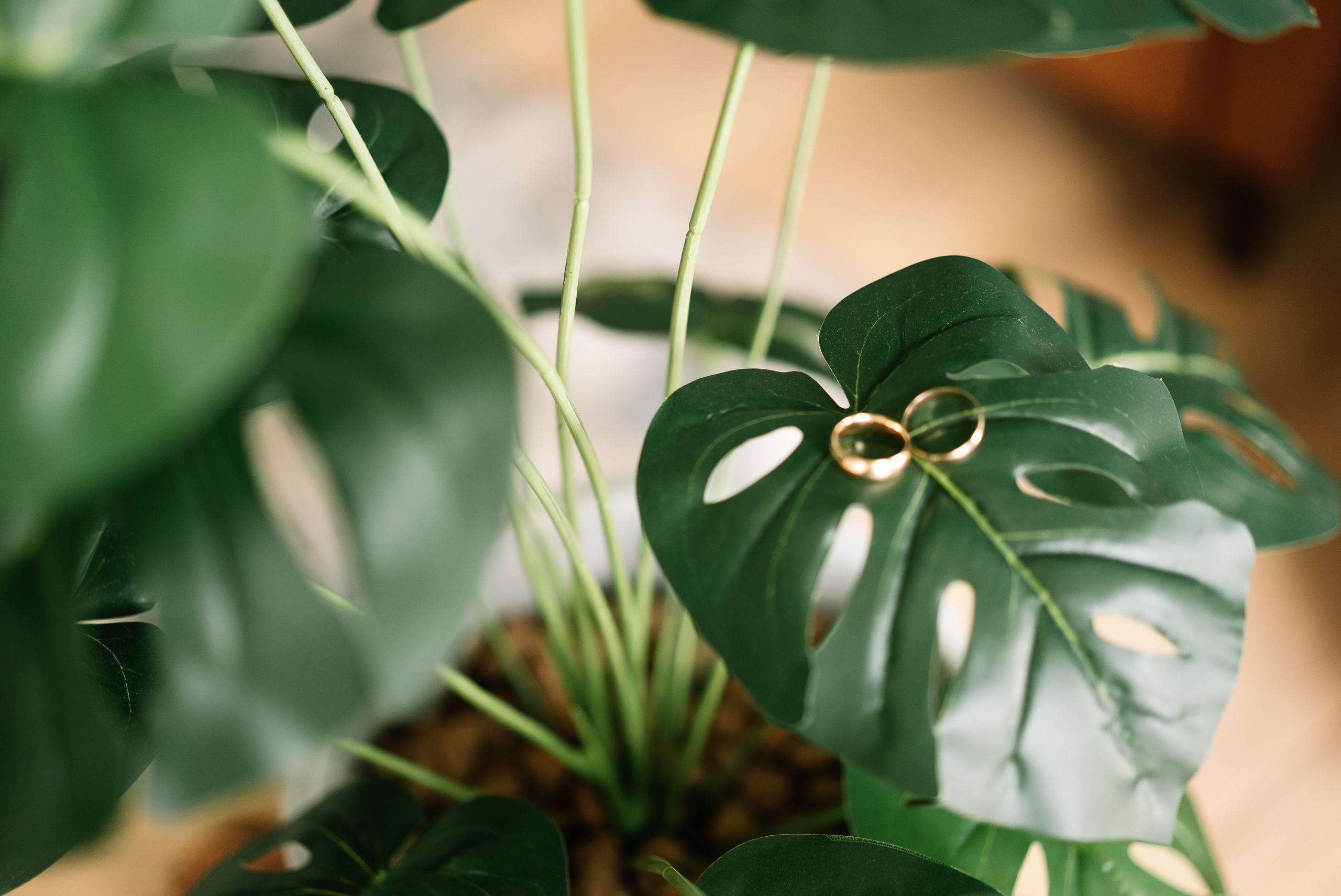 Константин и Ольга. Свадебный фотограф в Самаре Анна Ковалева