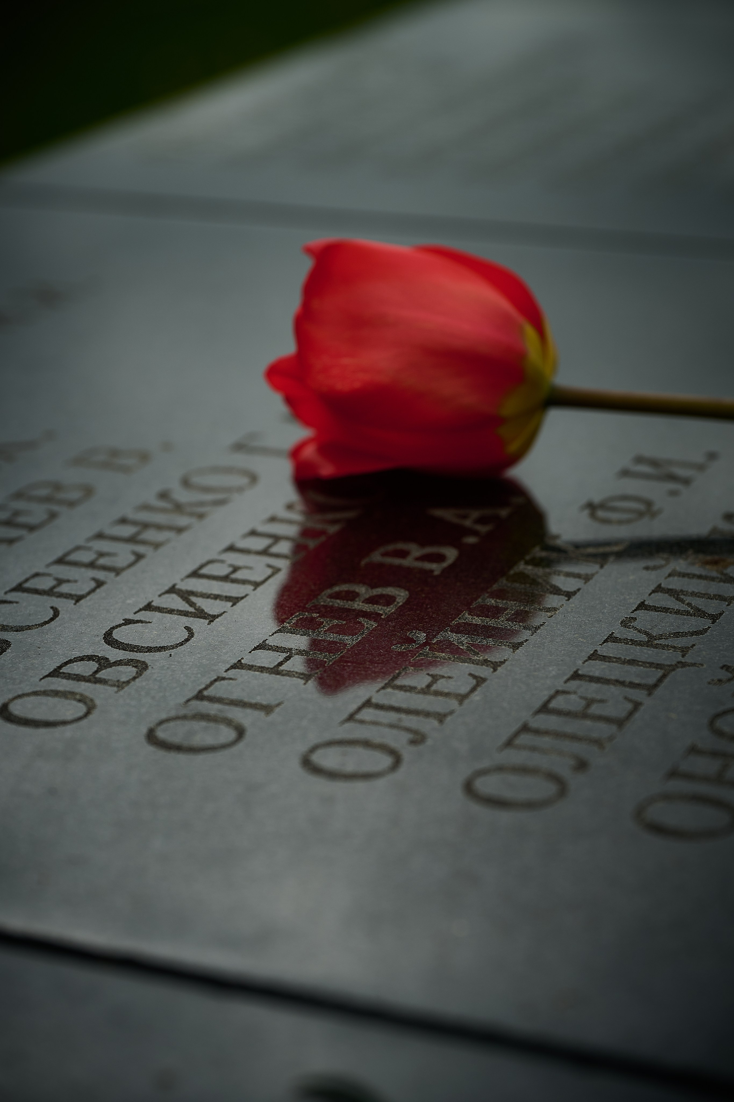 Памяти подвигу Кремлевских курсантов. Ярополец. Фотограф Роман Адлер