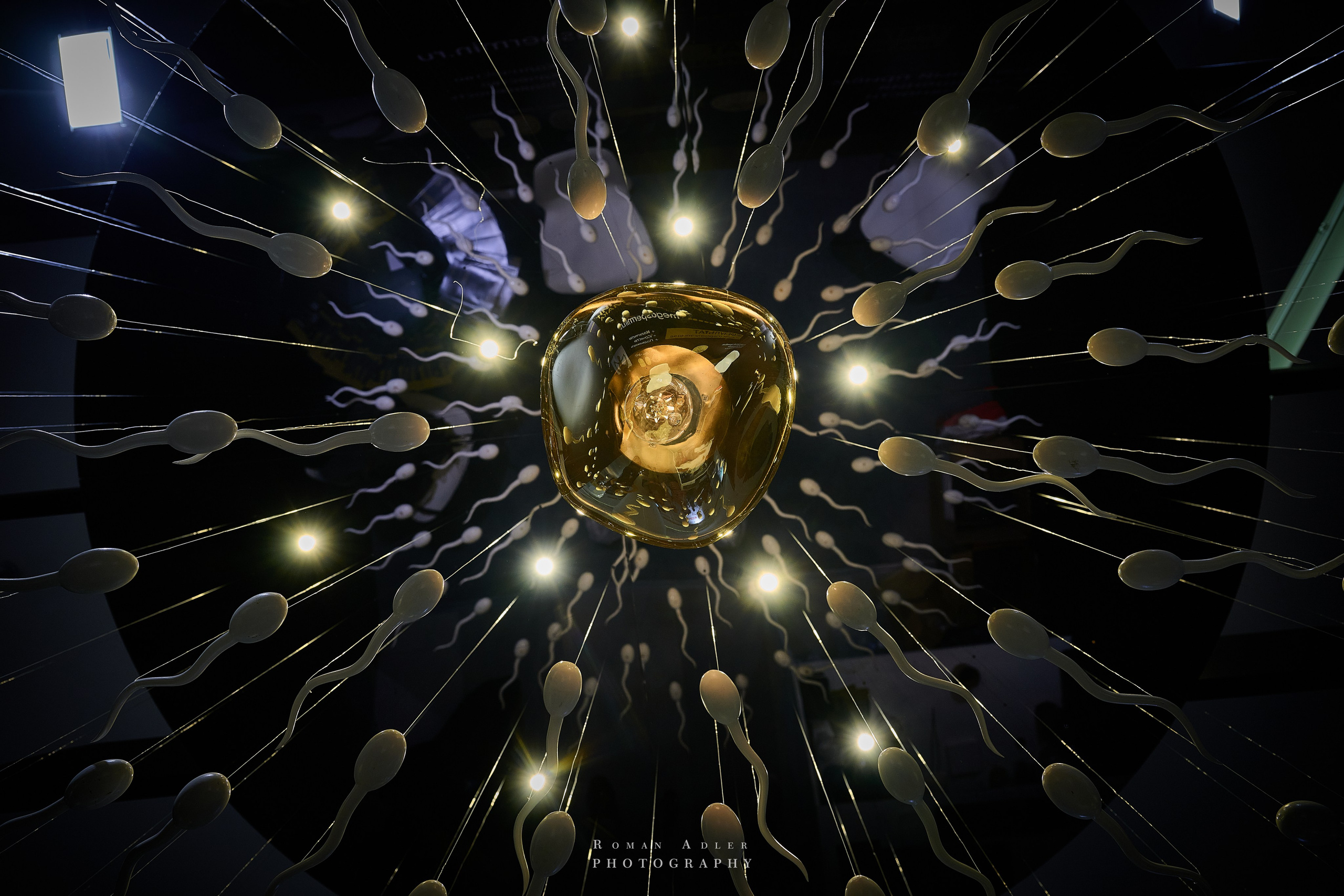 ХХI Конгрес «Мужское Здоровье». Сочи. Фотограф Роман Адлер