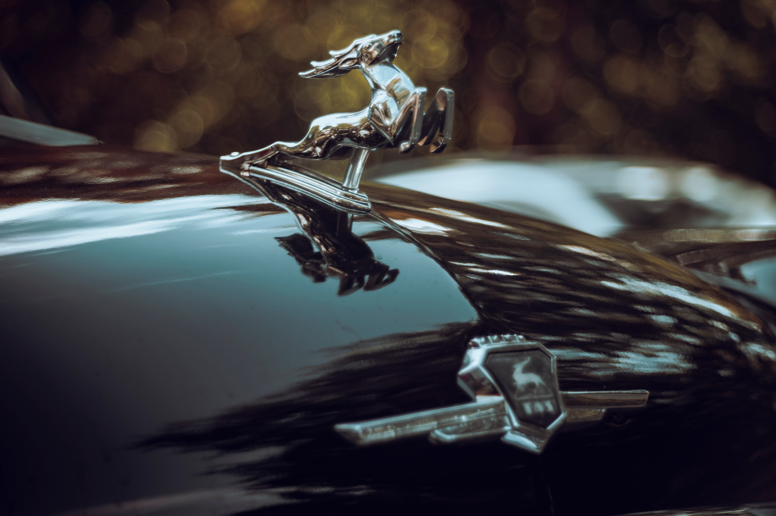 ГАЗ 21 Волга. Фотограф Роман Адлер