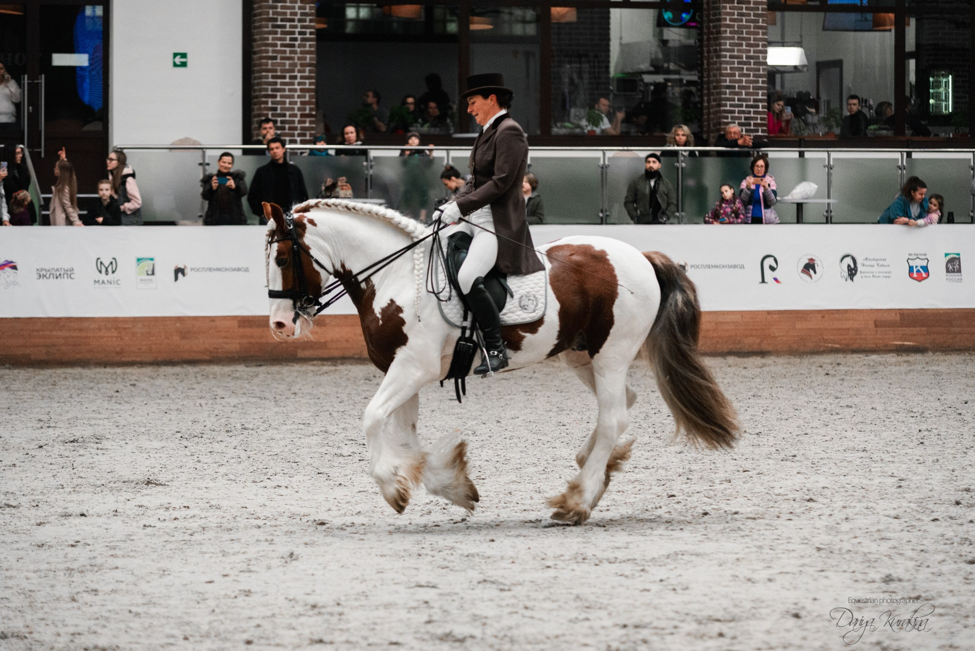 8-я международная выставка Конная Россия. Конный фотограф Куракина Дарья • Фотосессии с лошадьми