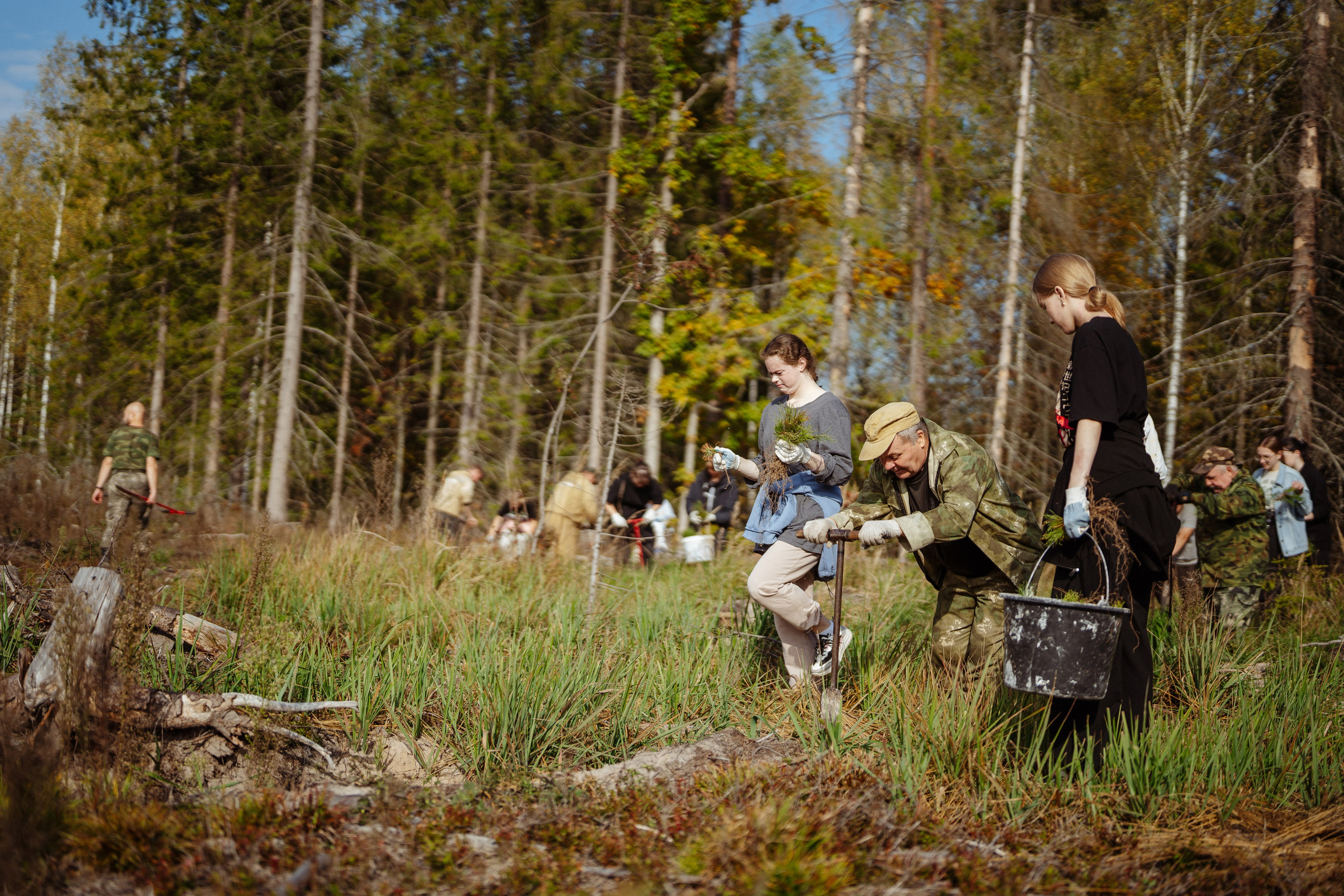 СБЕР · ЭКА · Посадка сеянцев. Владимир Вершинин, тот самый свадебный видеограф