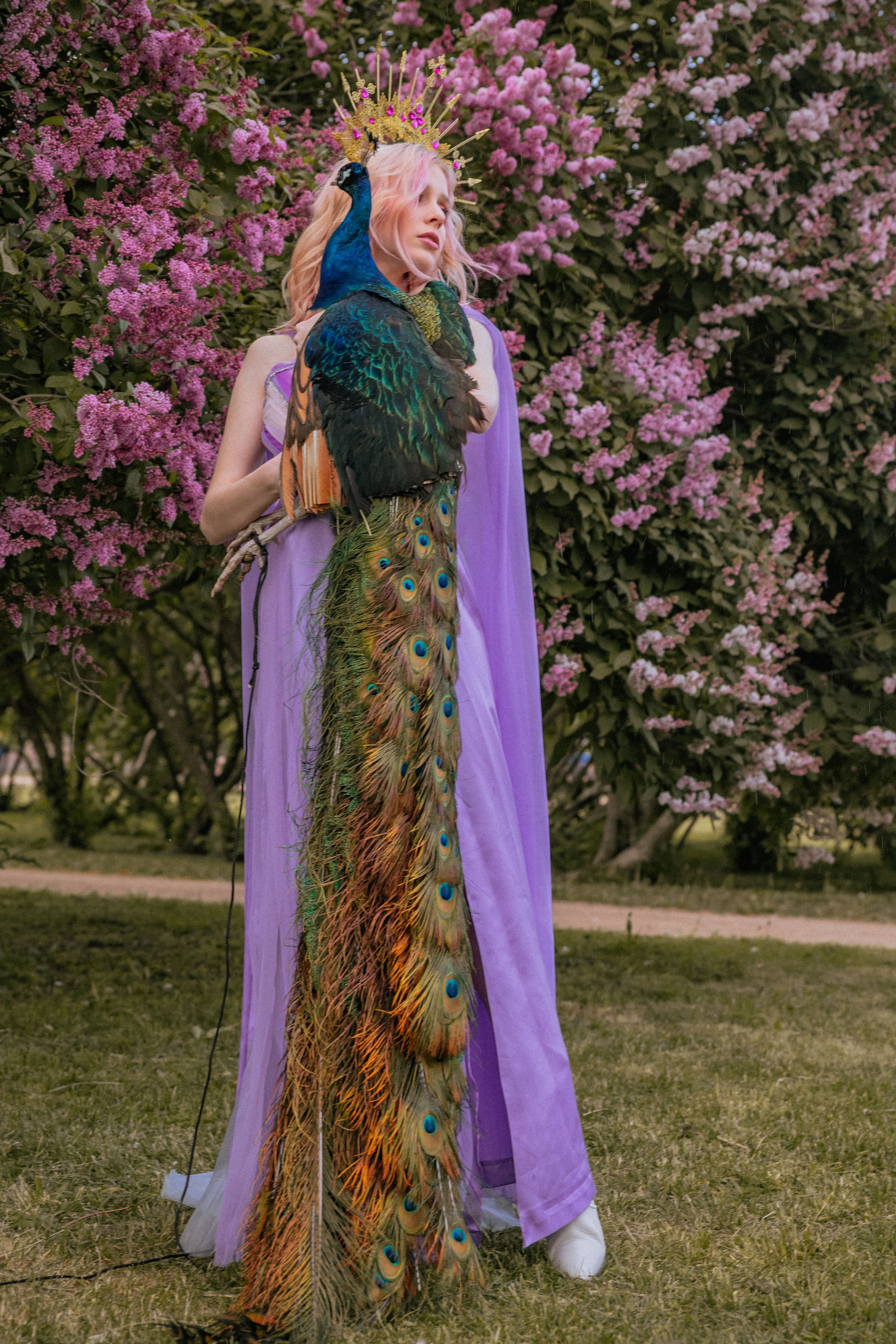 Павлин. Elena Sova — семейный и женский фотограф в Санкт-Петербурге