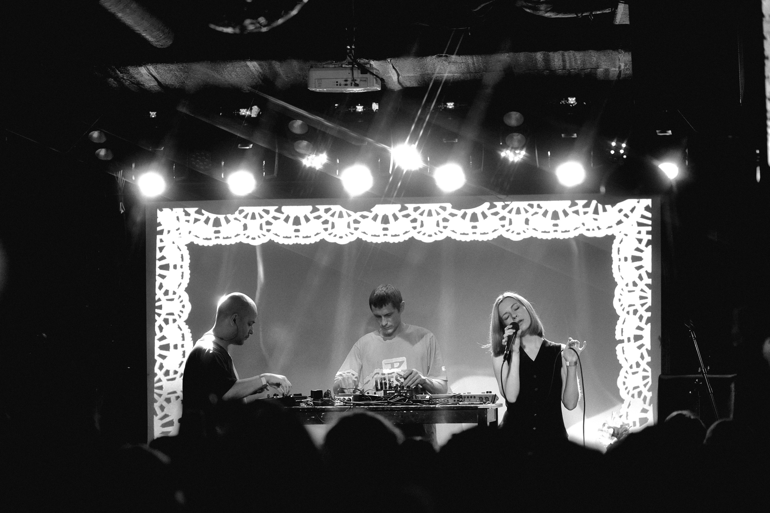 Порез на собаке. Фотограф Юлия Маринина