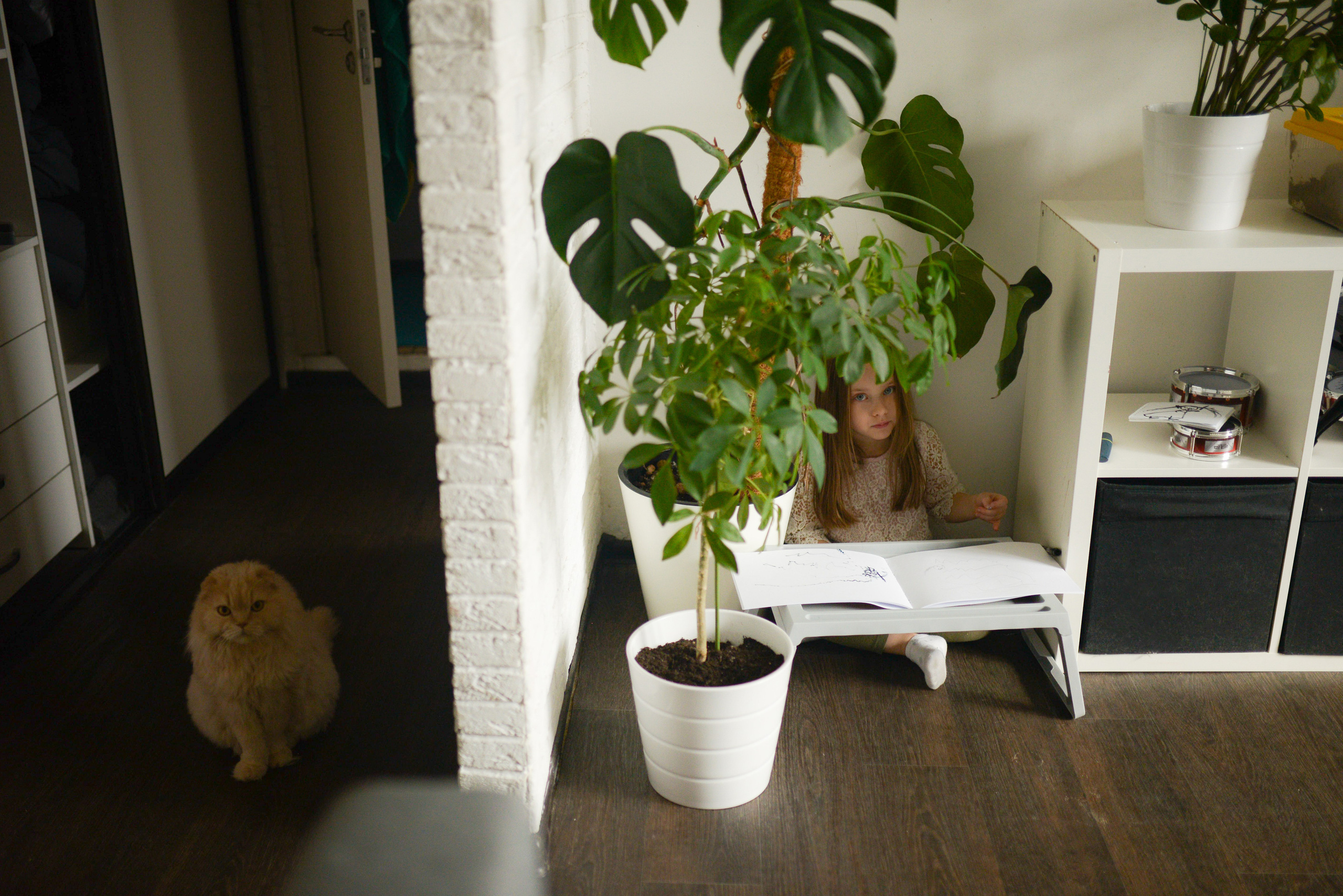 Домашняя семейная съемка. Семейный фотограф в Москве Ольга Барсукова