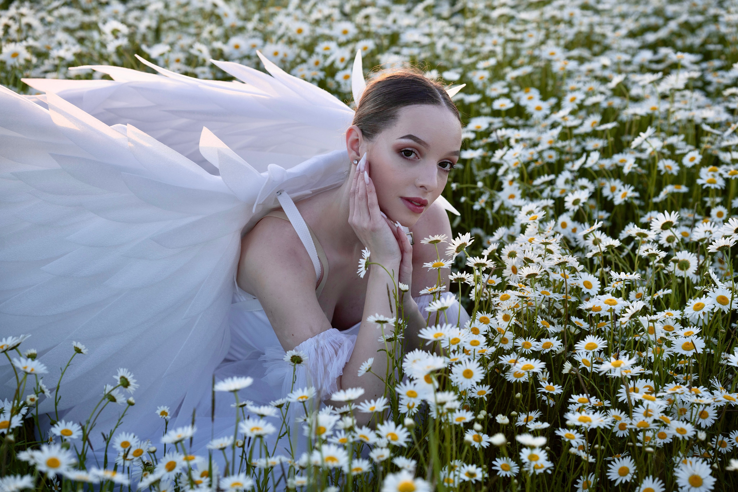 Ромашки. Фотограф в Крыму Лебедева Александра