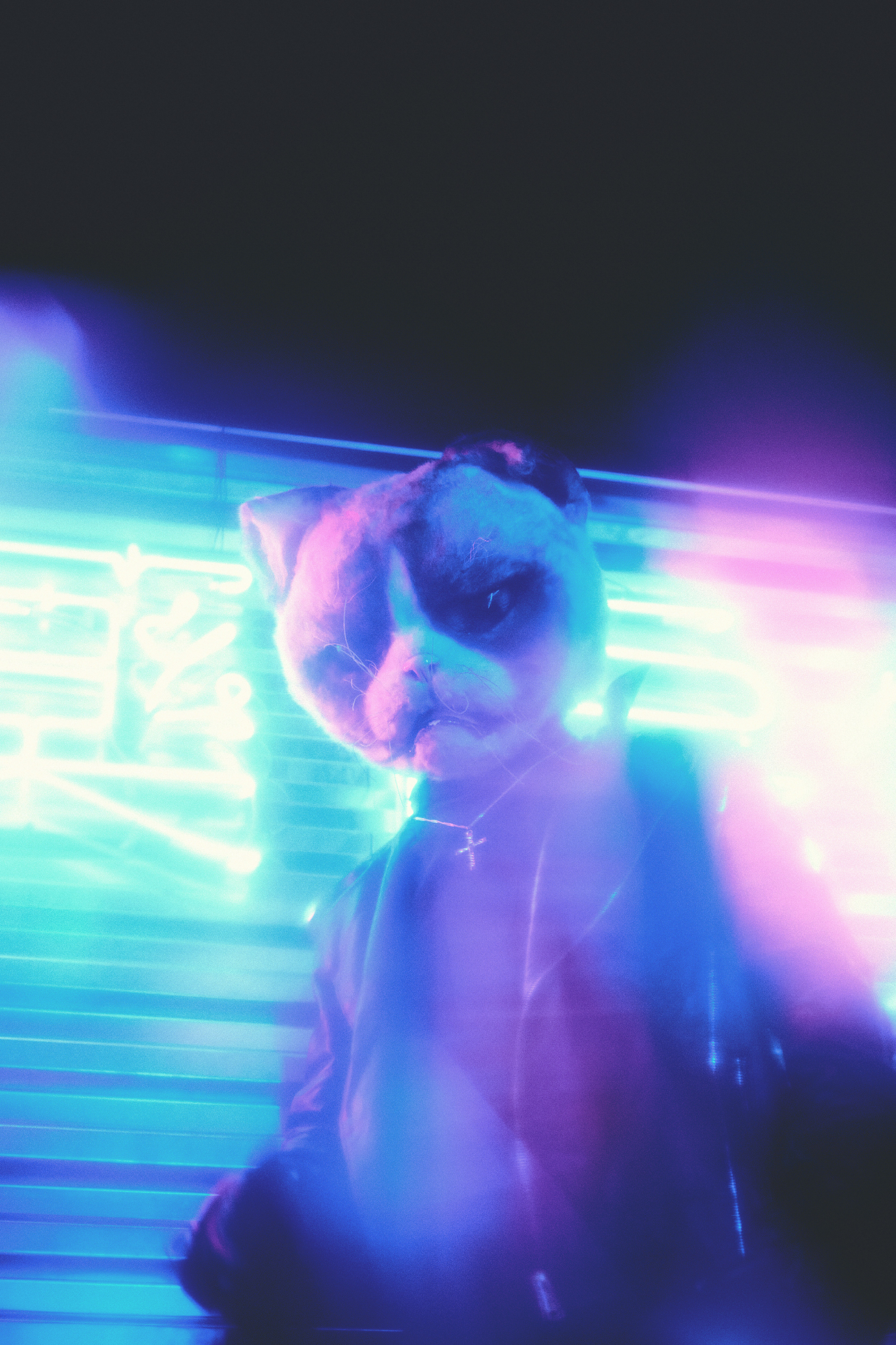 SIZHOM SNIPPET. DINIS MUSTAFIN | PHOTOGRAPHY