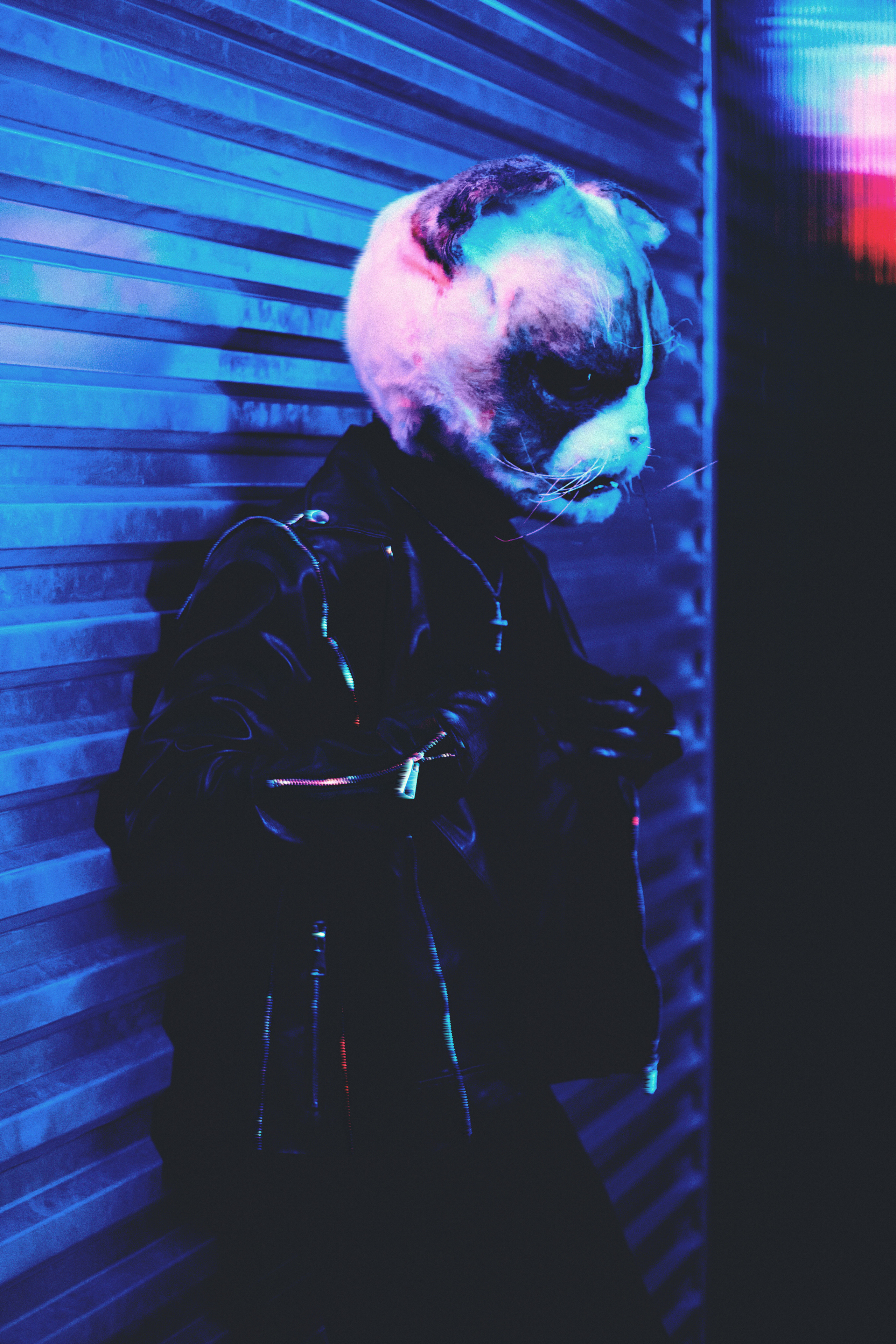 SIZHOM SNIPPET. DINIS MUSTAFIN | PHOTOGRAPHY