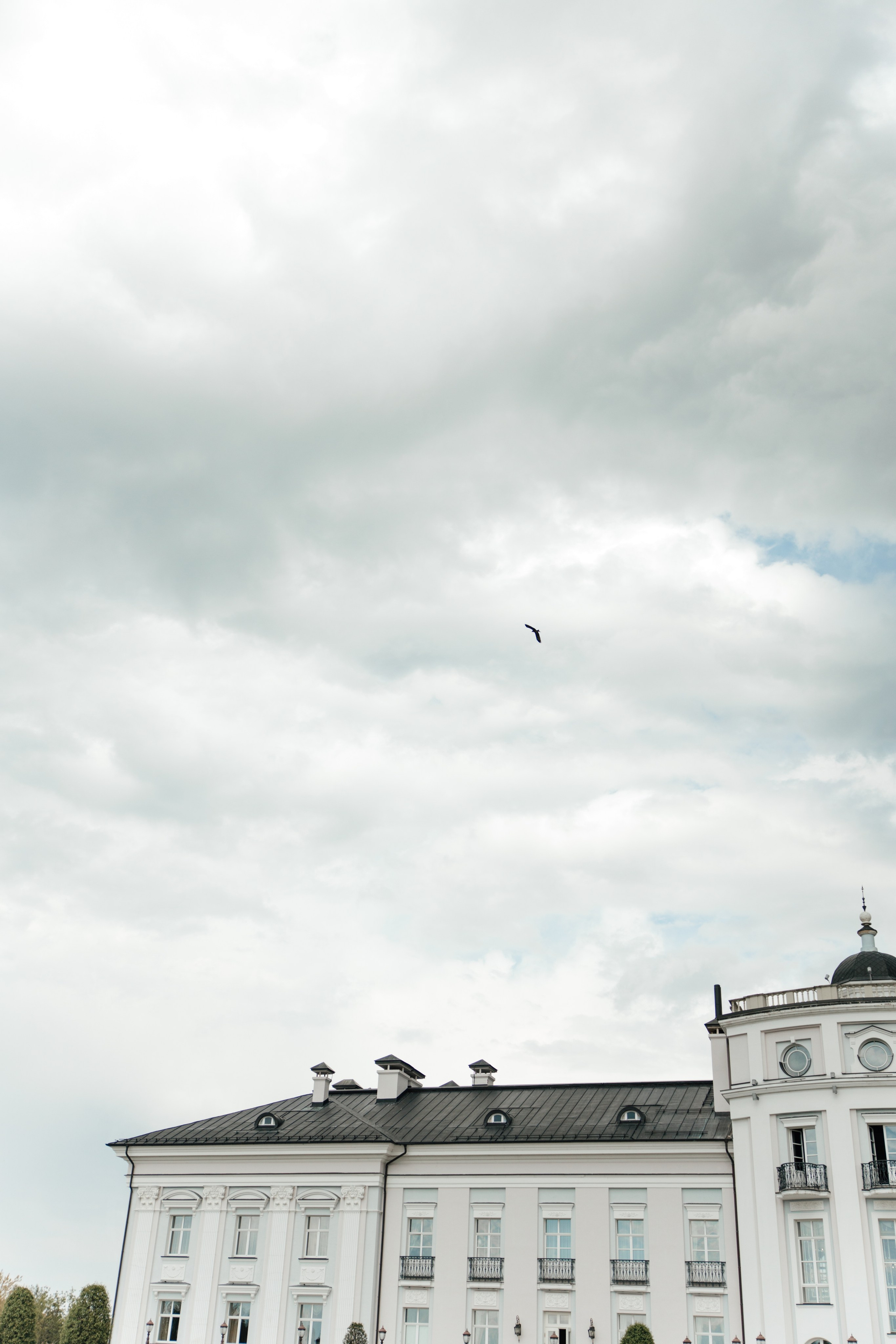 MICHETTI. Свадебное ФОТО & ВИДЕО Москва/Липецк