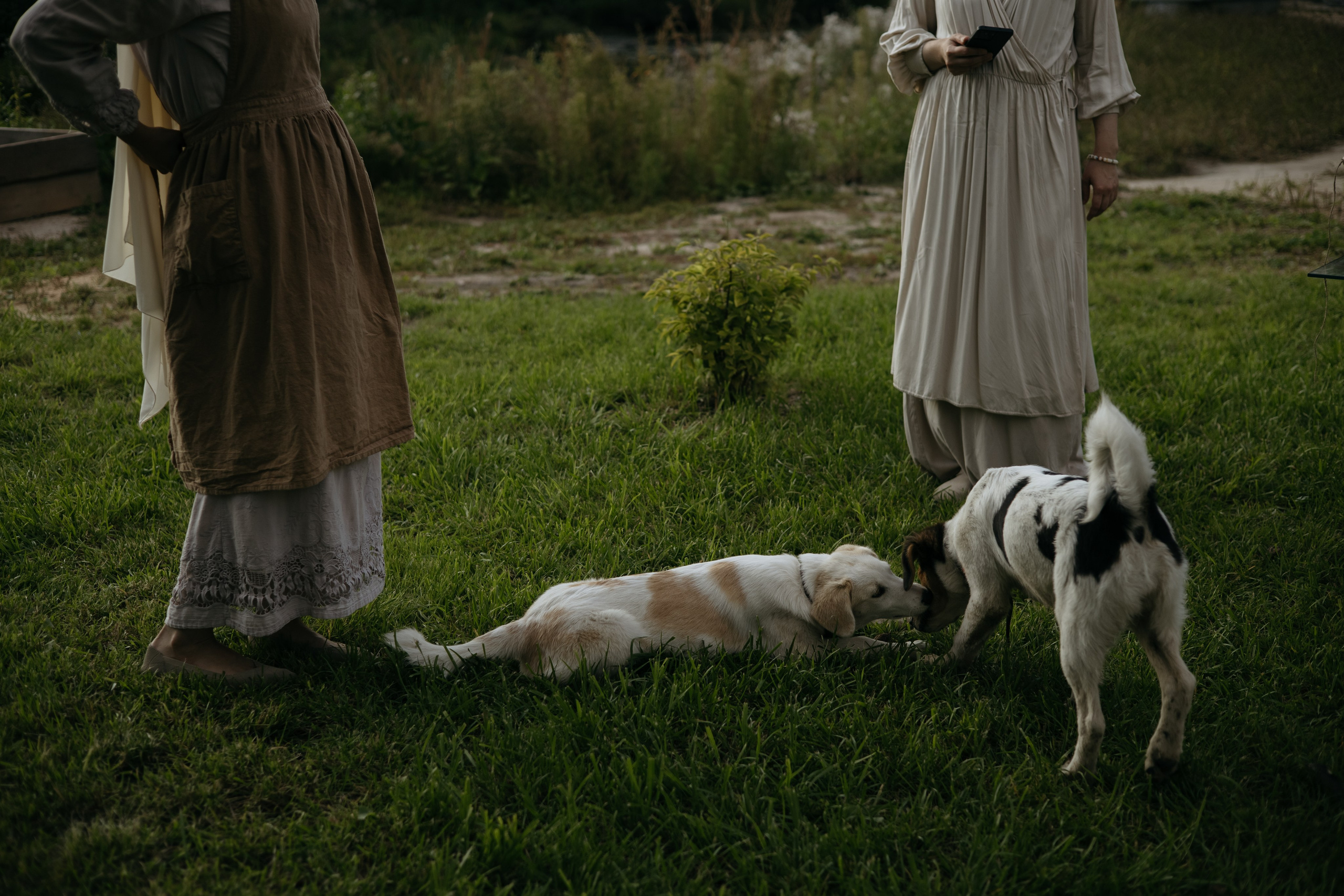 ДИНИЯ. Фотограф Элла Ефимова