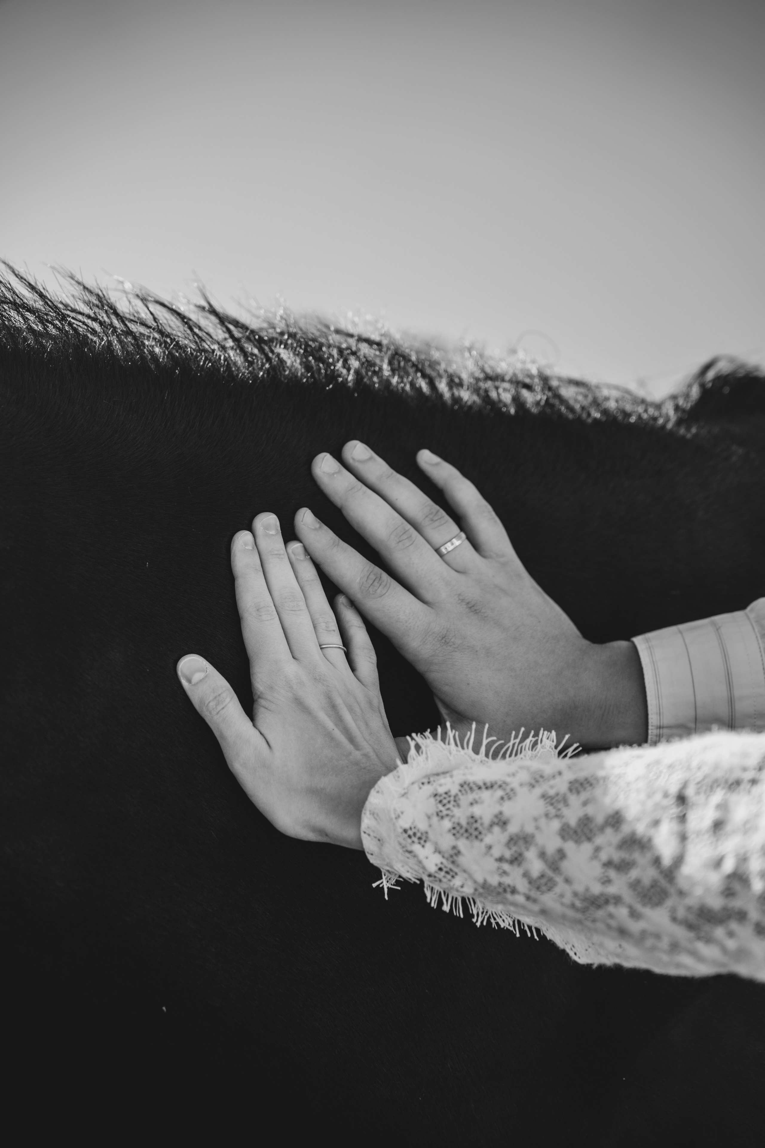 Свадебный фотограф КМВ Пятигорск, Железноводск, Ессентуки, Кисловодск Архыз Домбай Горы Фотосессия. Фотограф КМВ|ГОРЫ Пятигорск Железноводск Ессентуки Кисловодск Домбай Архыз Эльбрус