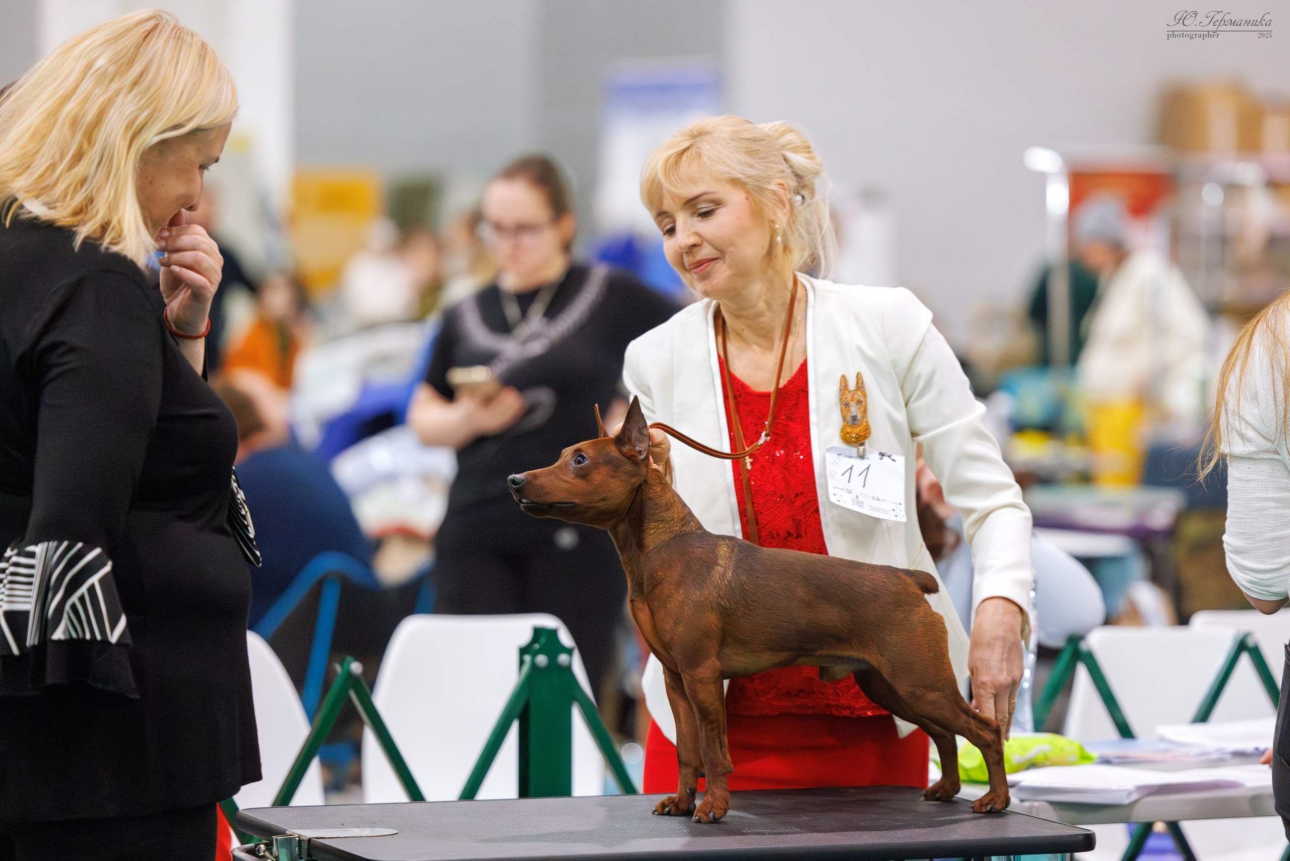 Гран-При 8.02.2025 и Крокус 09.02.2025. Фотограф-анималист Юлия Германика