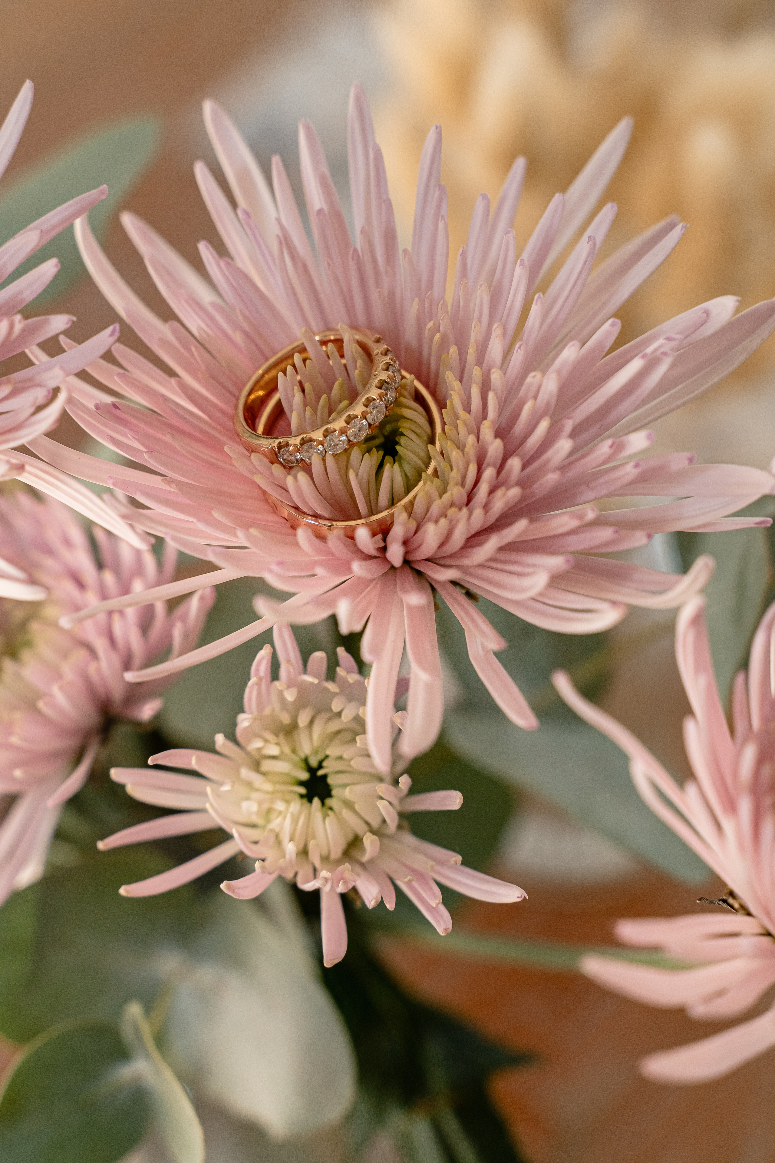 Сергей & Анастасия. RETOUCH-HOUSE