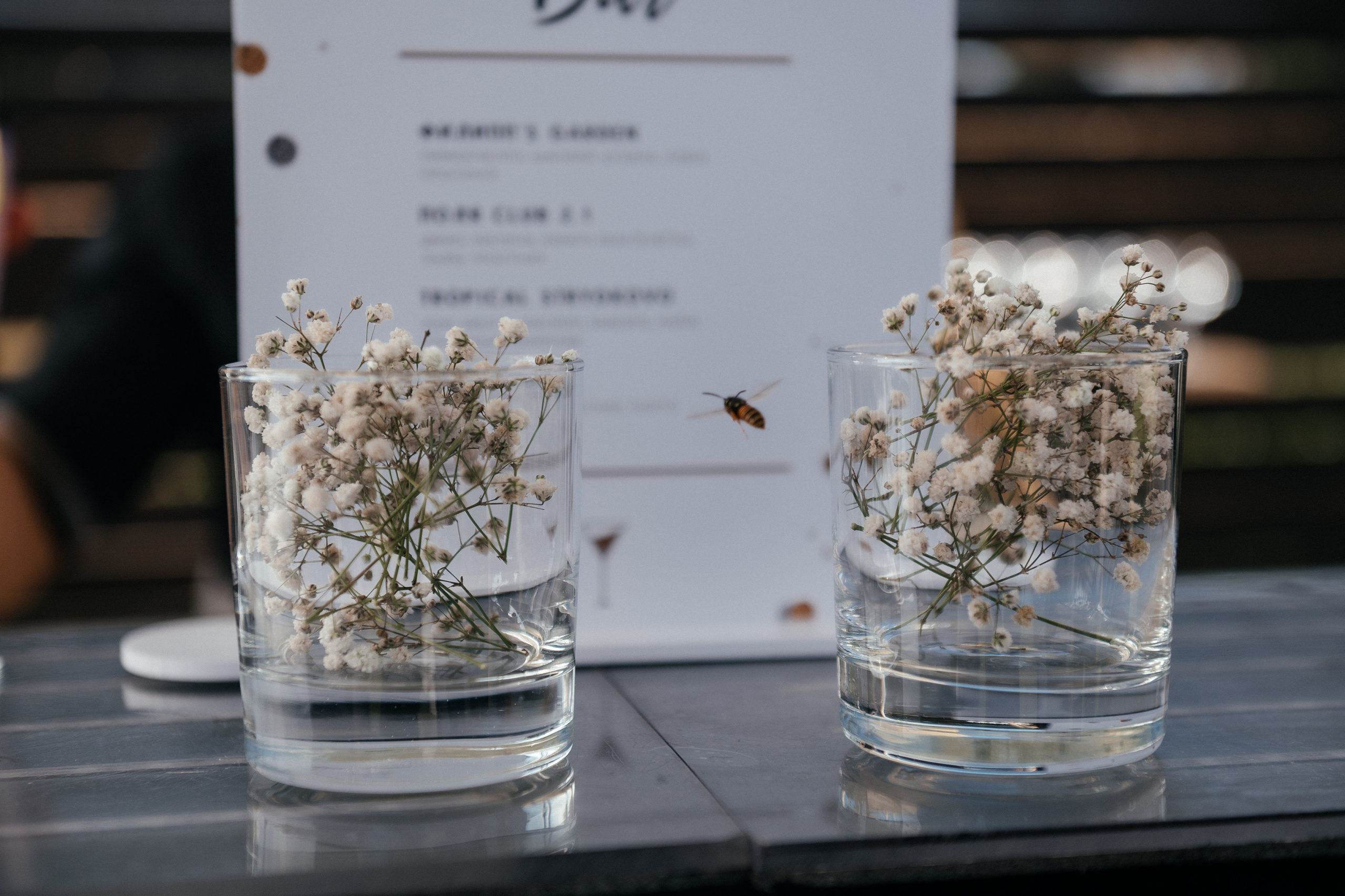 Dacha. Алина Посторонка