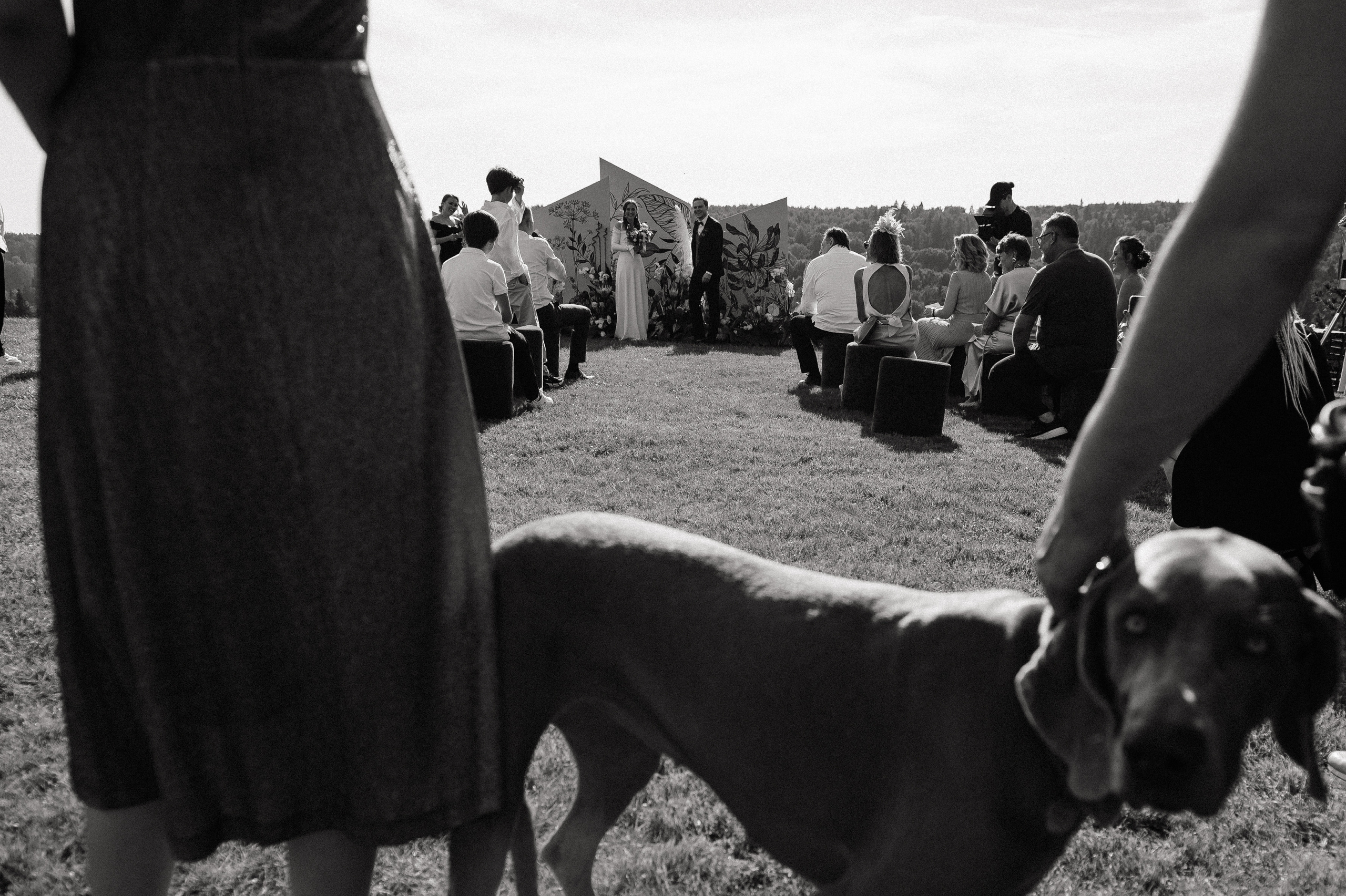 Dacha. Алина Посторонка