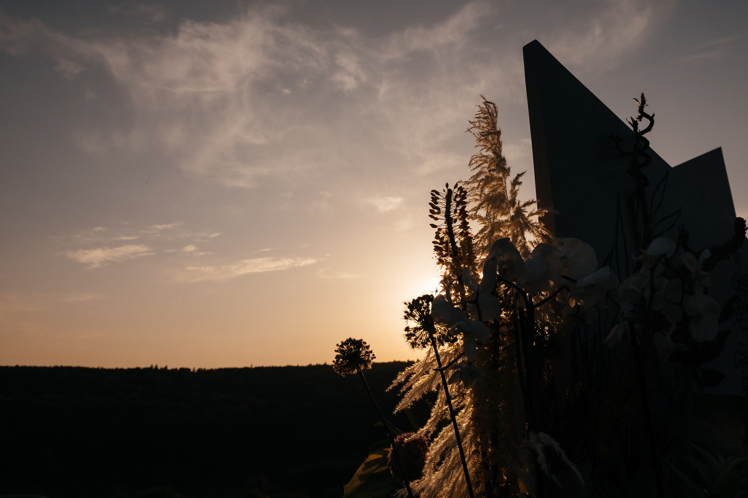 Dacha. Алина Посторонка