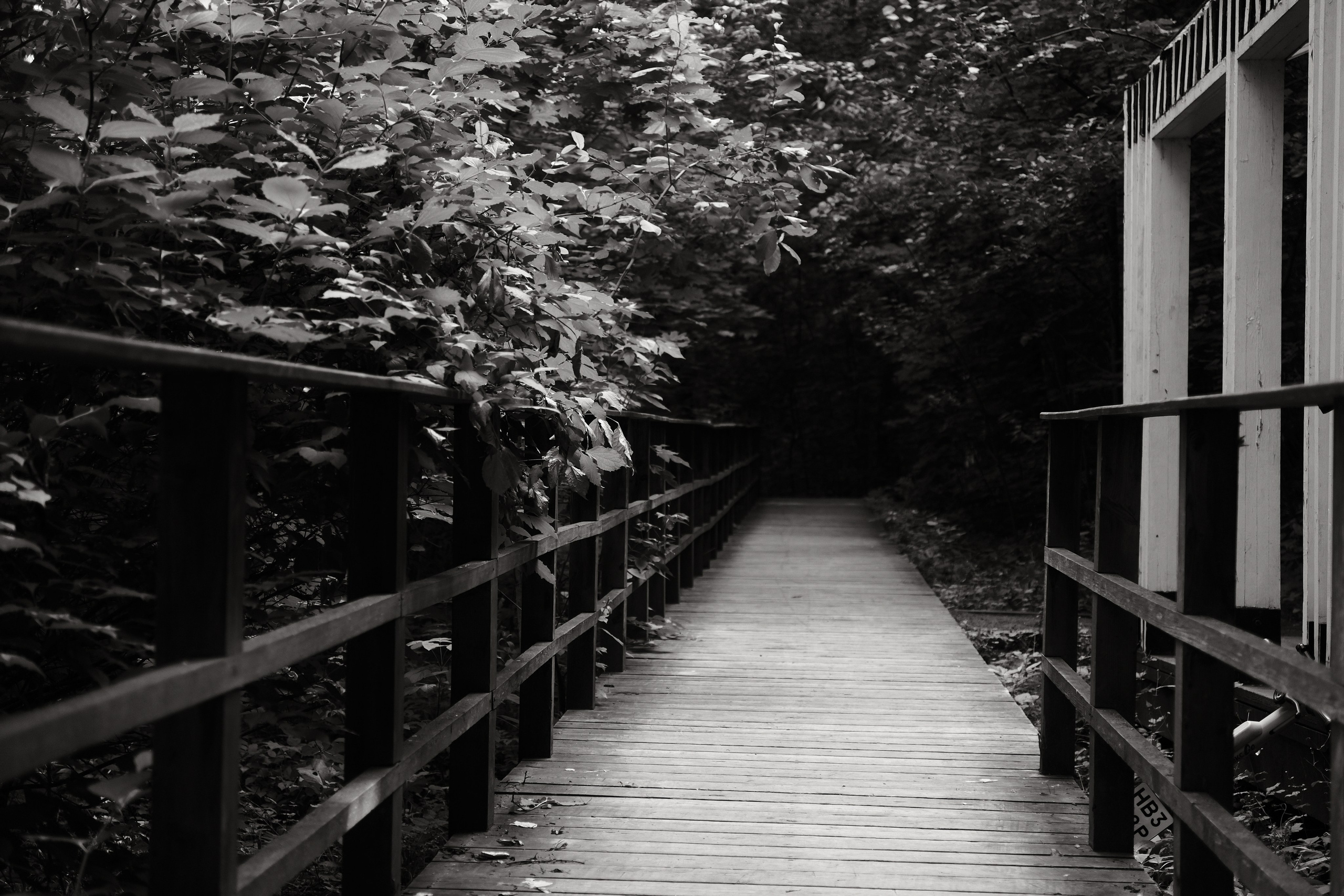 Прогулка по Воробьёвым горам. Фотограф Михаил Ерохин | Москва