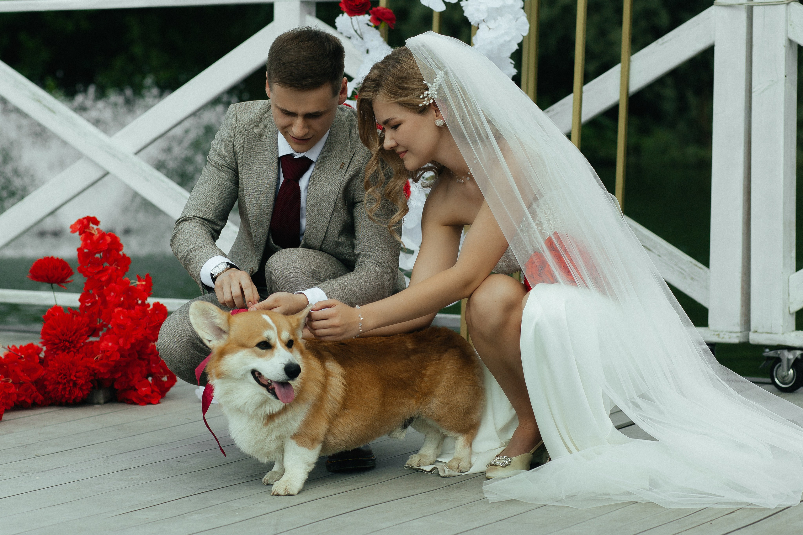 D & D. Фотограф Ольга Сапронова. Свадебный фотограф Ольга Сапронова