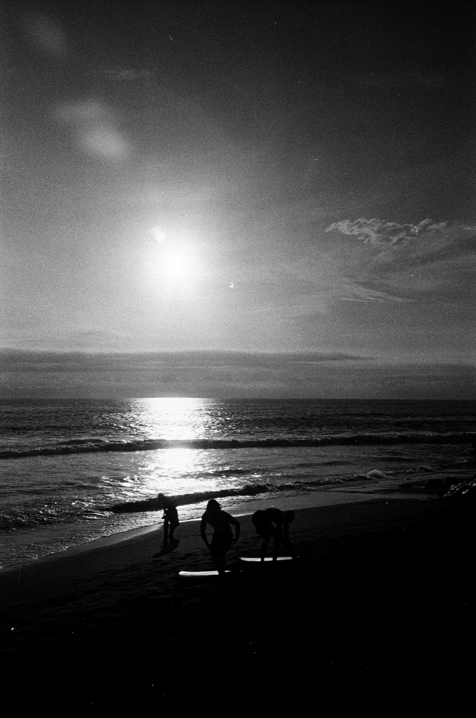 Who u are?. Carolinetru