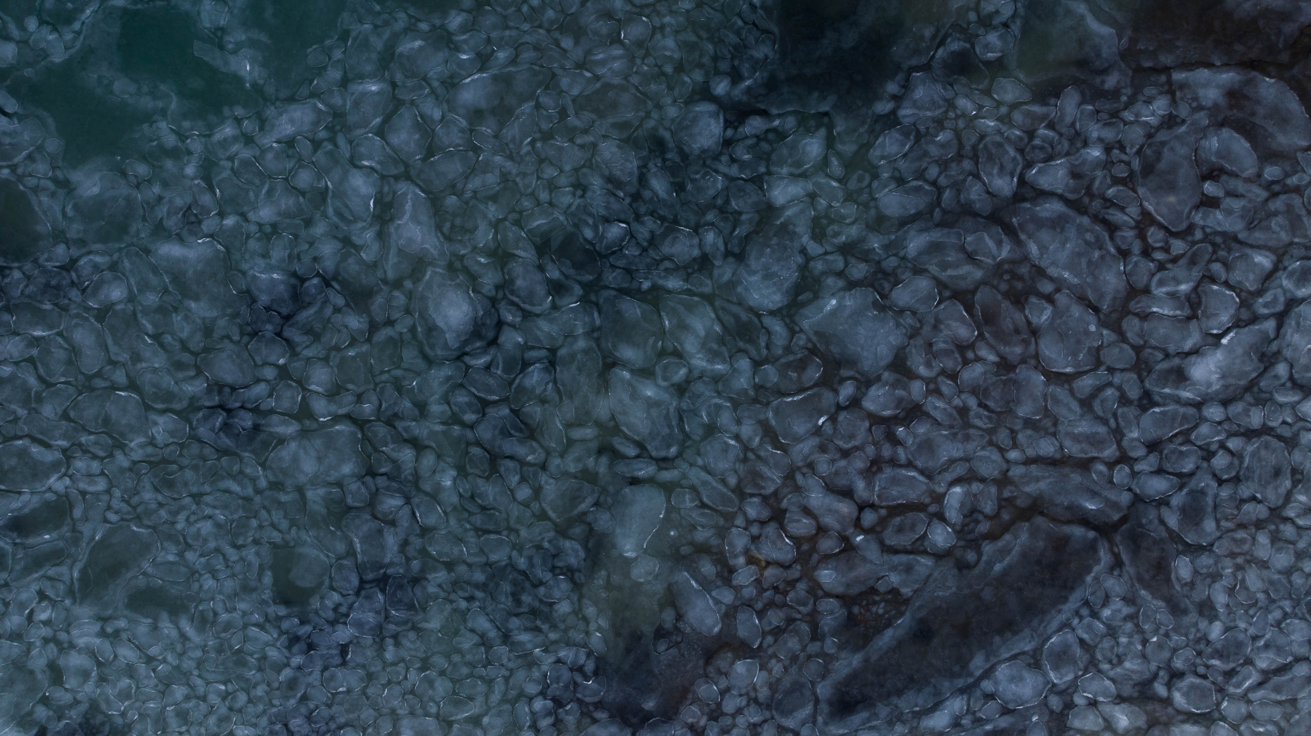 Бухта Пущина. Турист оптимист