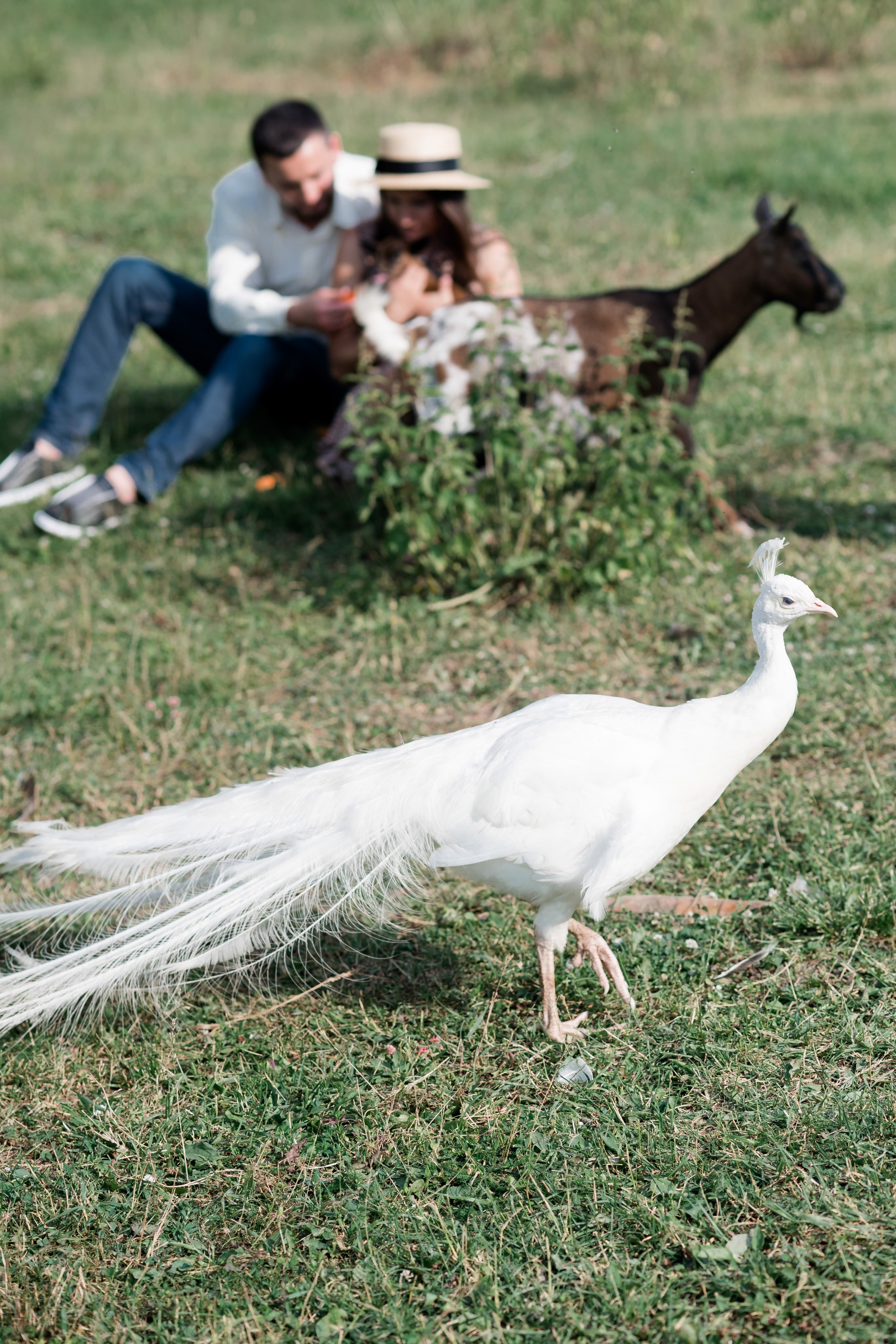 На конюшне. Семейный и контент фотограф