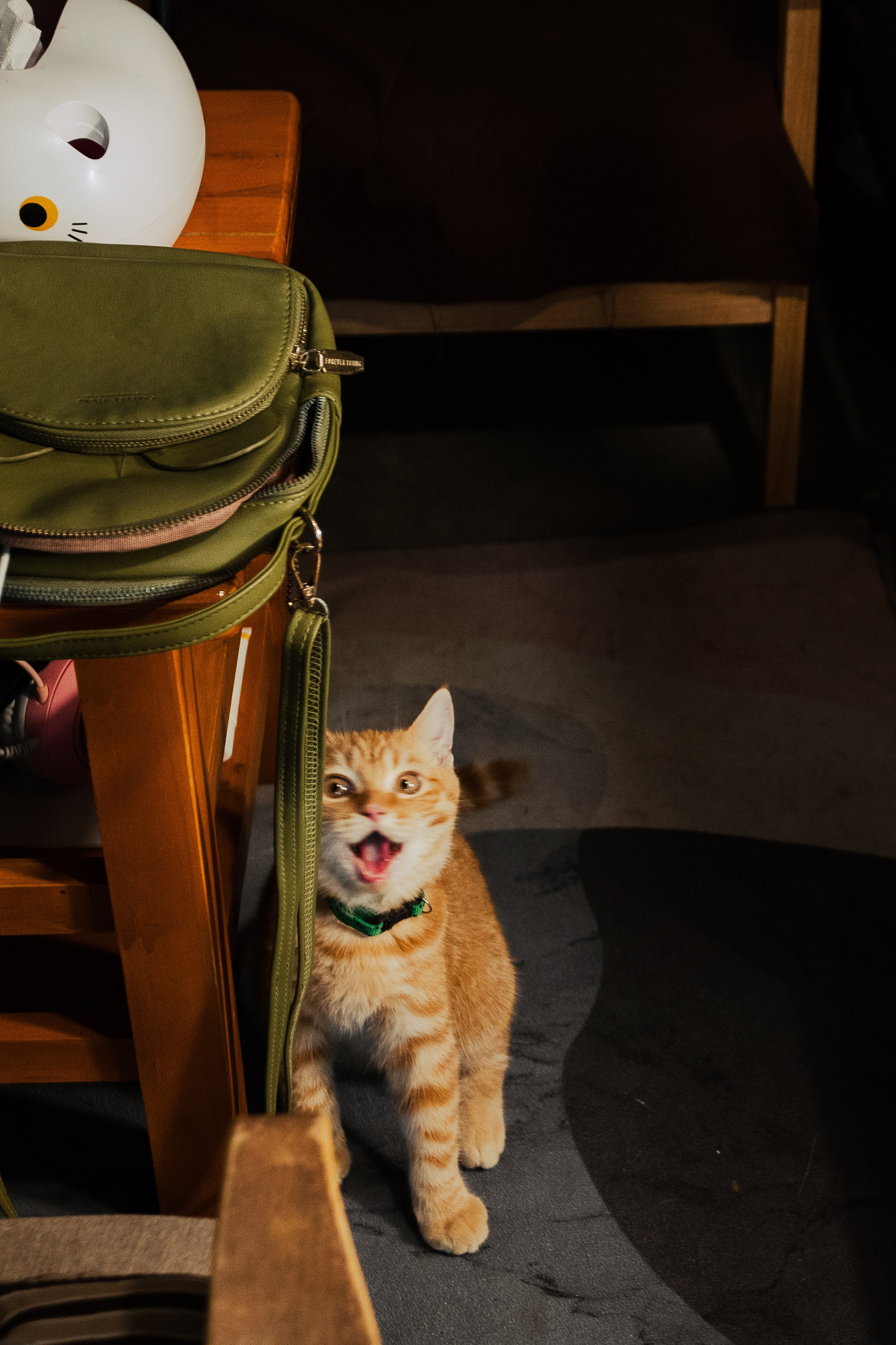 Cazz Cafe. Фотограф Сонкина Татьяна