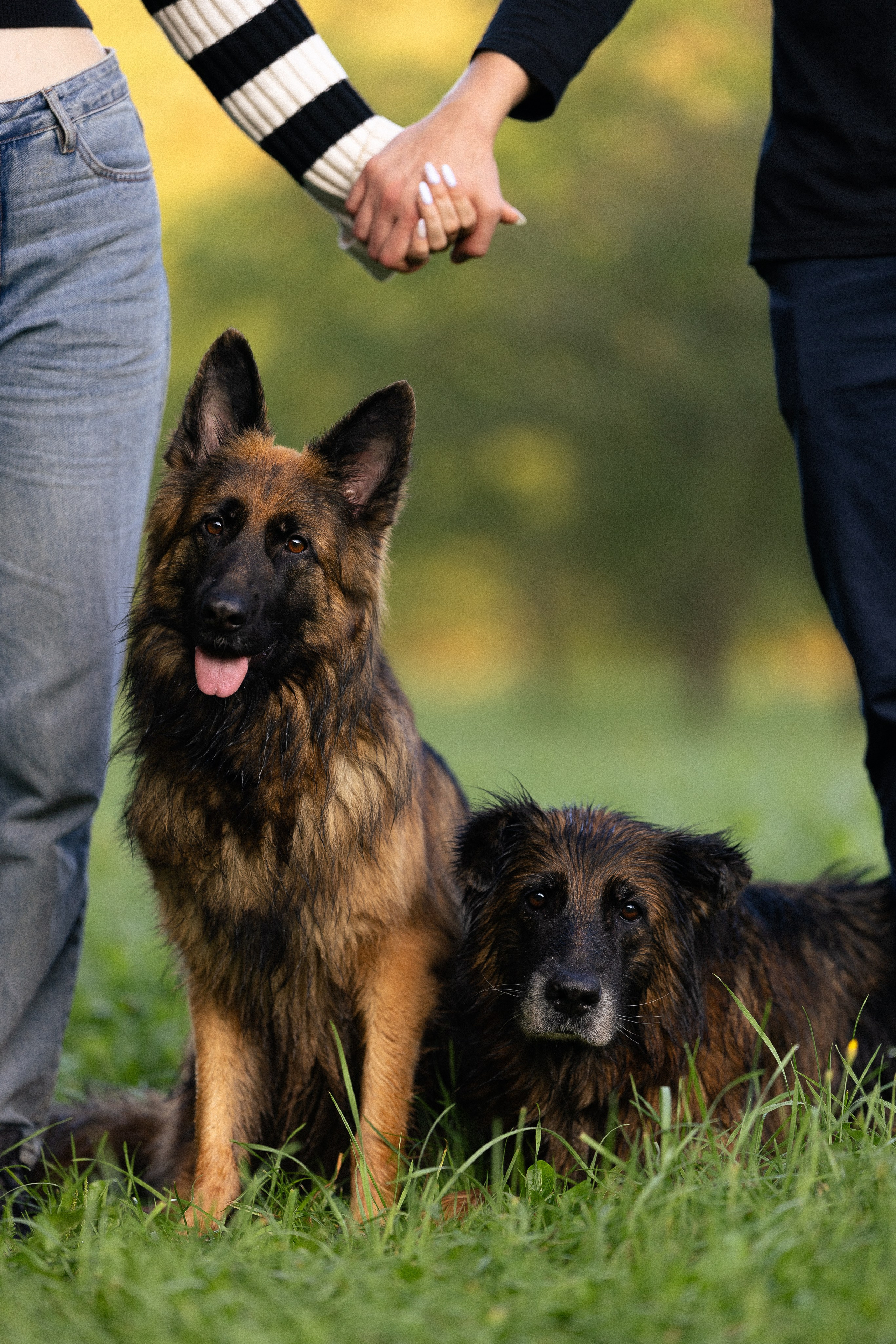 Алена, Матвей, Фанни и Фрея. Фотограф и видеограф анималист Аганина Дарья