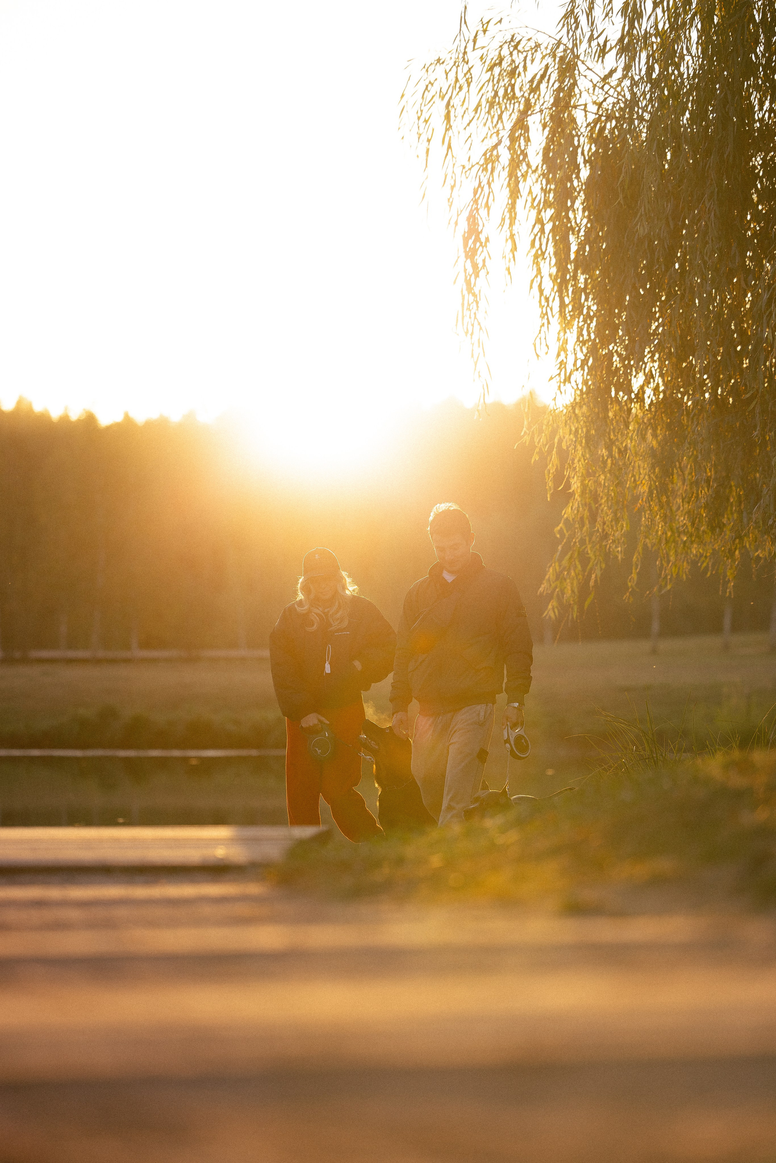 Катя, Леша, Лея и Трой. Фотограф и видеограф анималист Аганина Дарья
