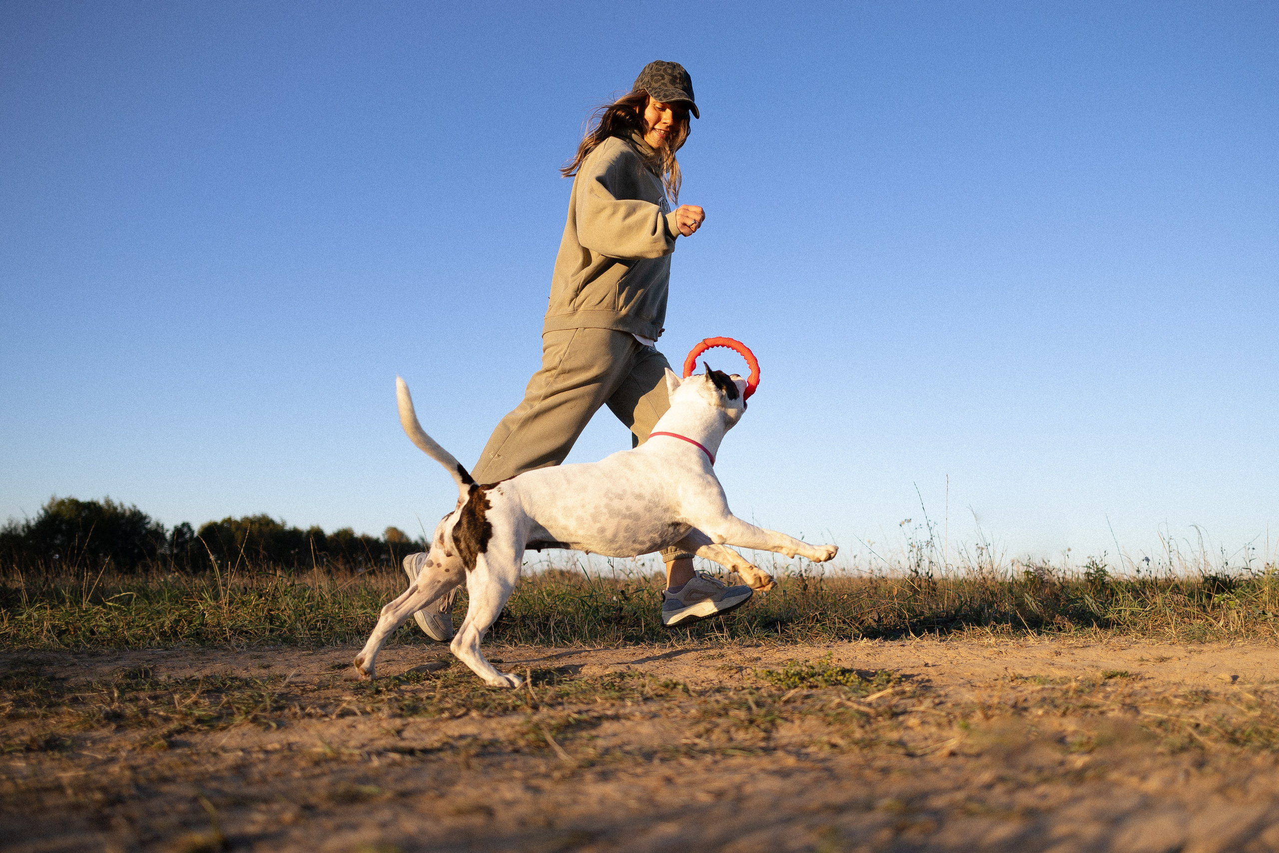 Женя, Афра и Молли. Фотограф и видеограф анималист Аганина Дарья
