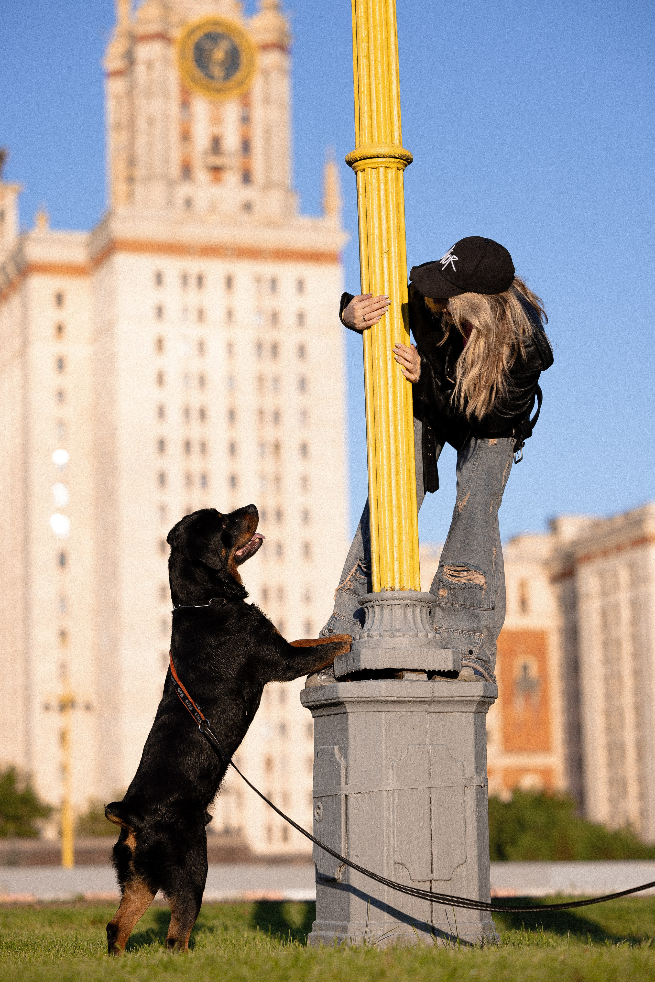 Катя, Леша, Лея и Трой. Фотограф и видеограф анималист Аганина Дарья