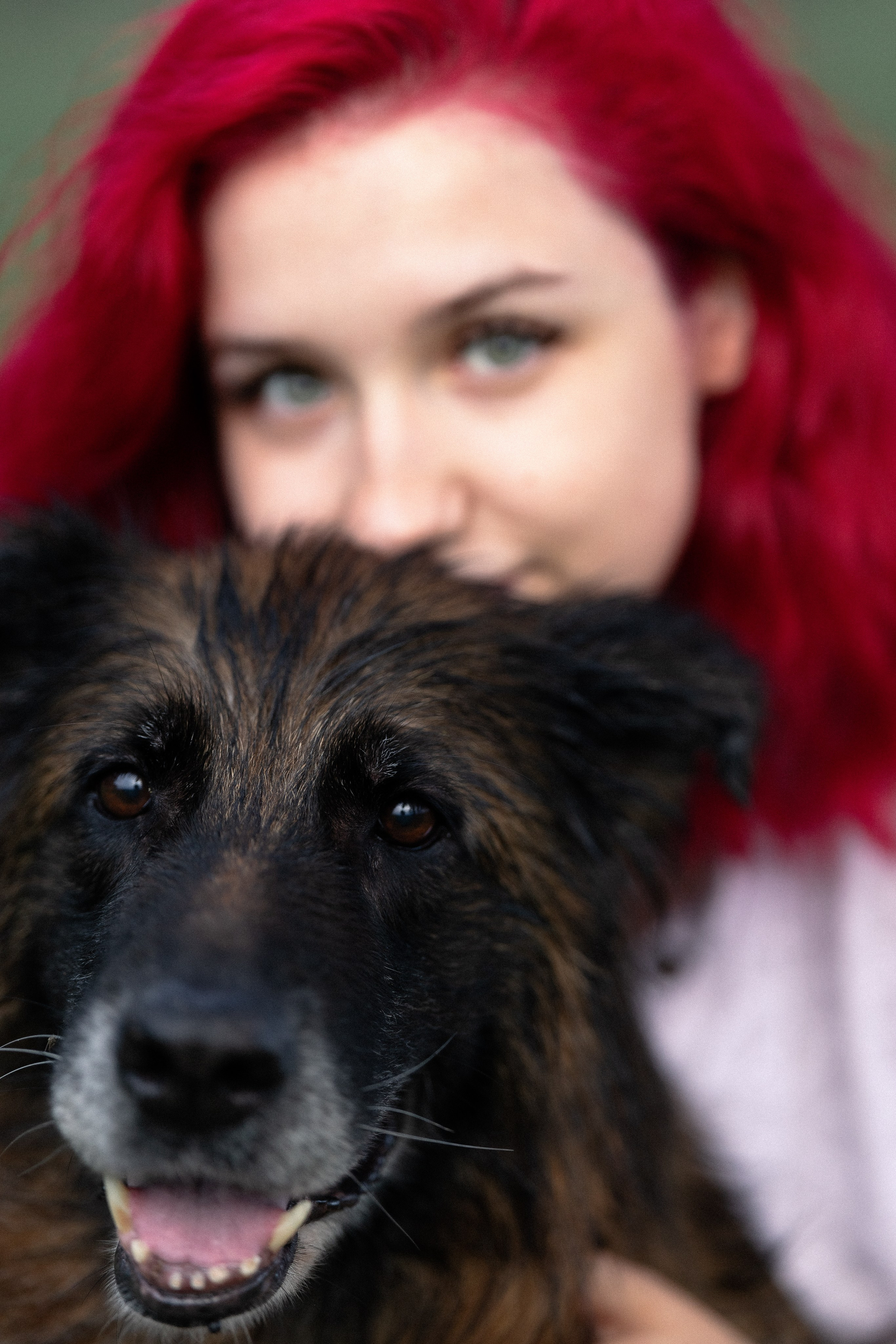 Алена, Фанни и Фрея. Фотограф и видеограф анималист Аганина Дарья