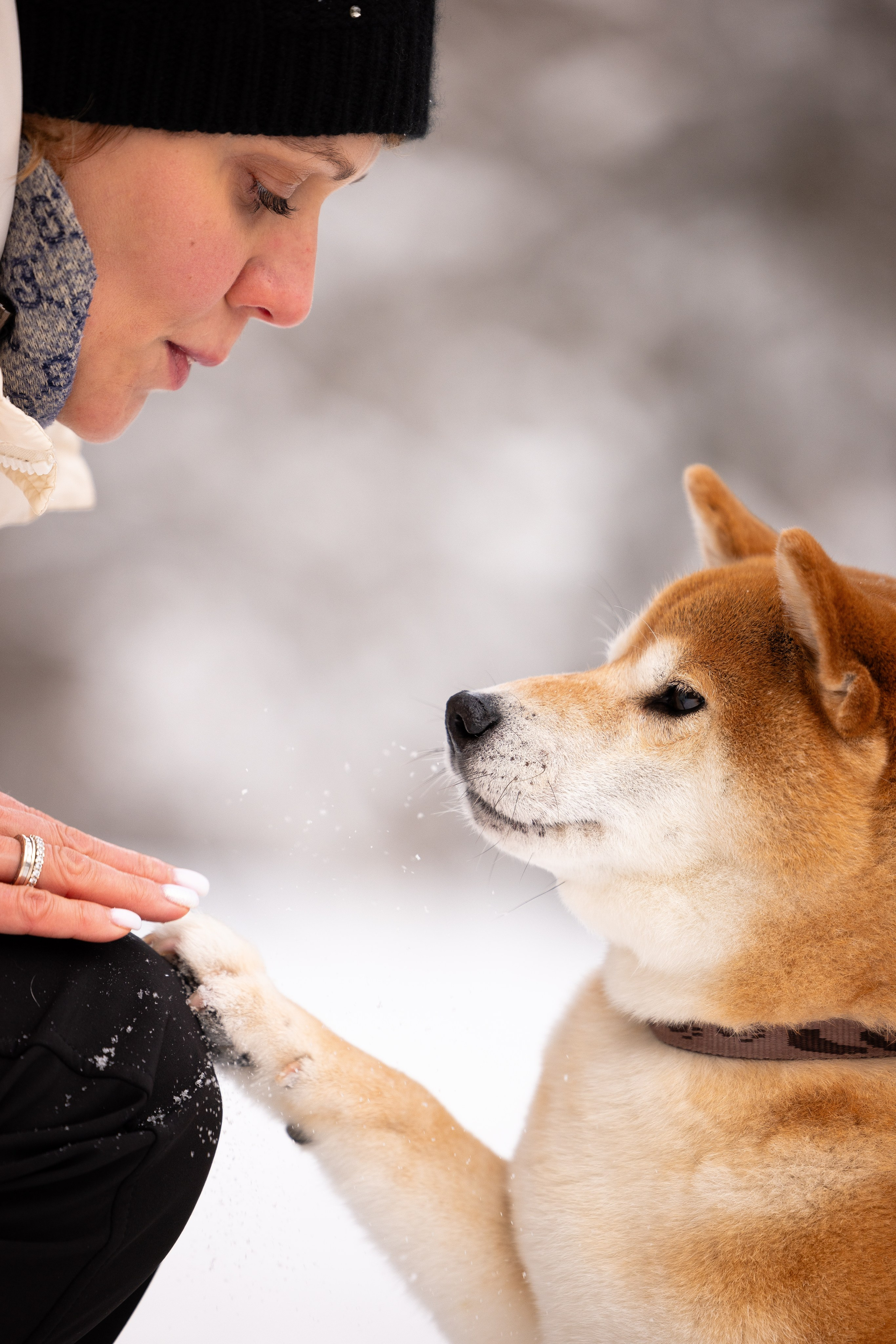 Юми, Серж и Тоши. Фотограф и видеограф анималист Аганина Дарья