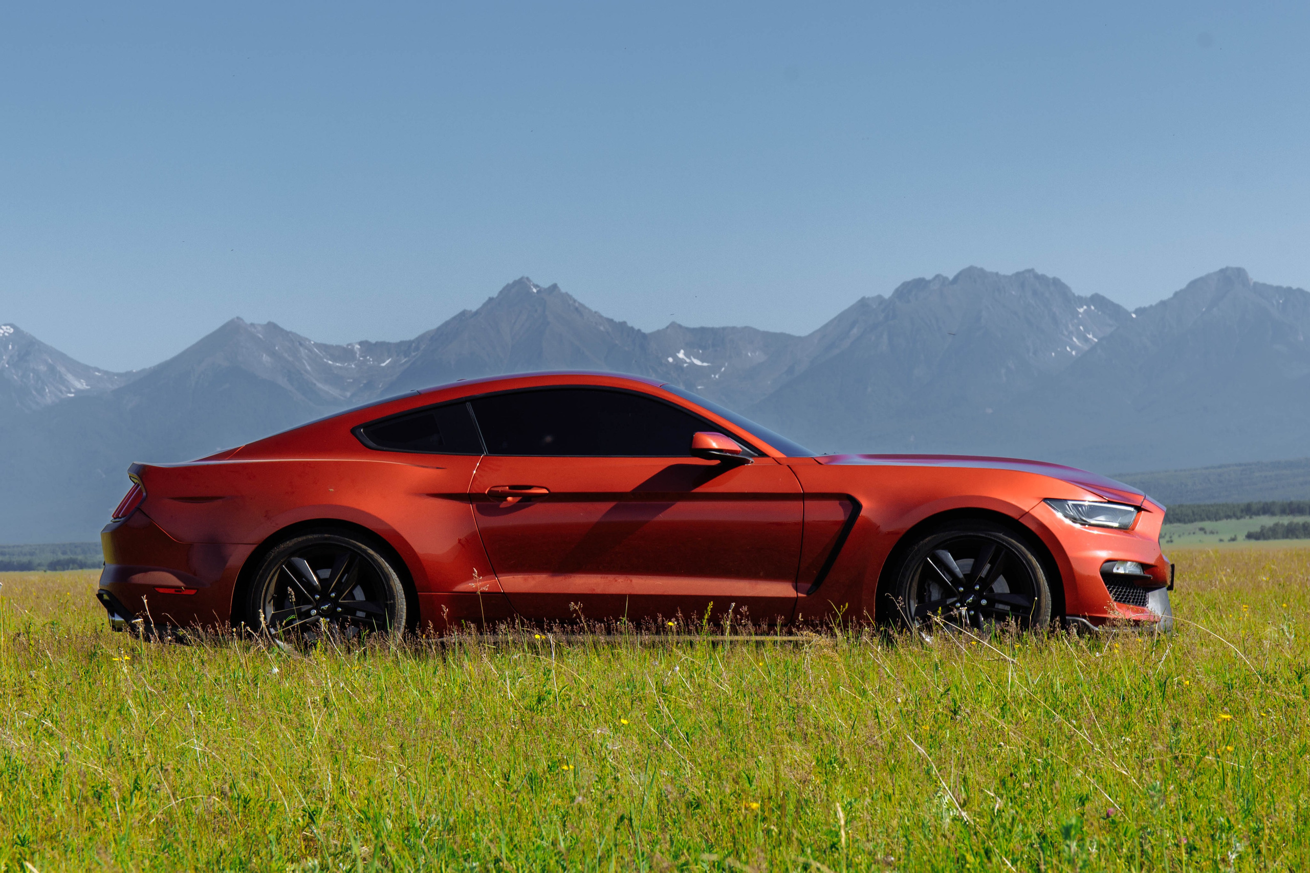 MUSTANG. Репортажный фотограф в Иркутске — Ярослав Ковалёв