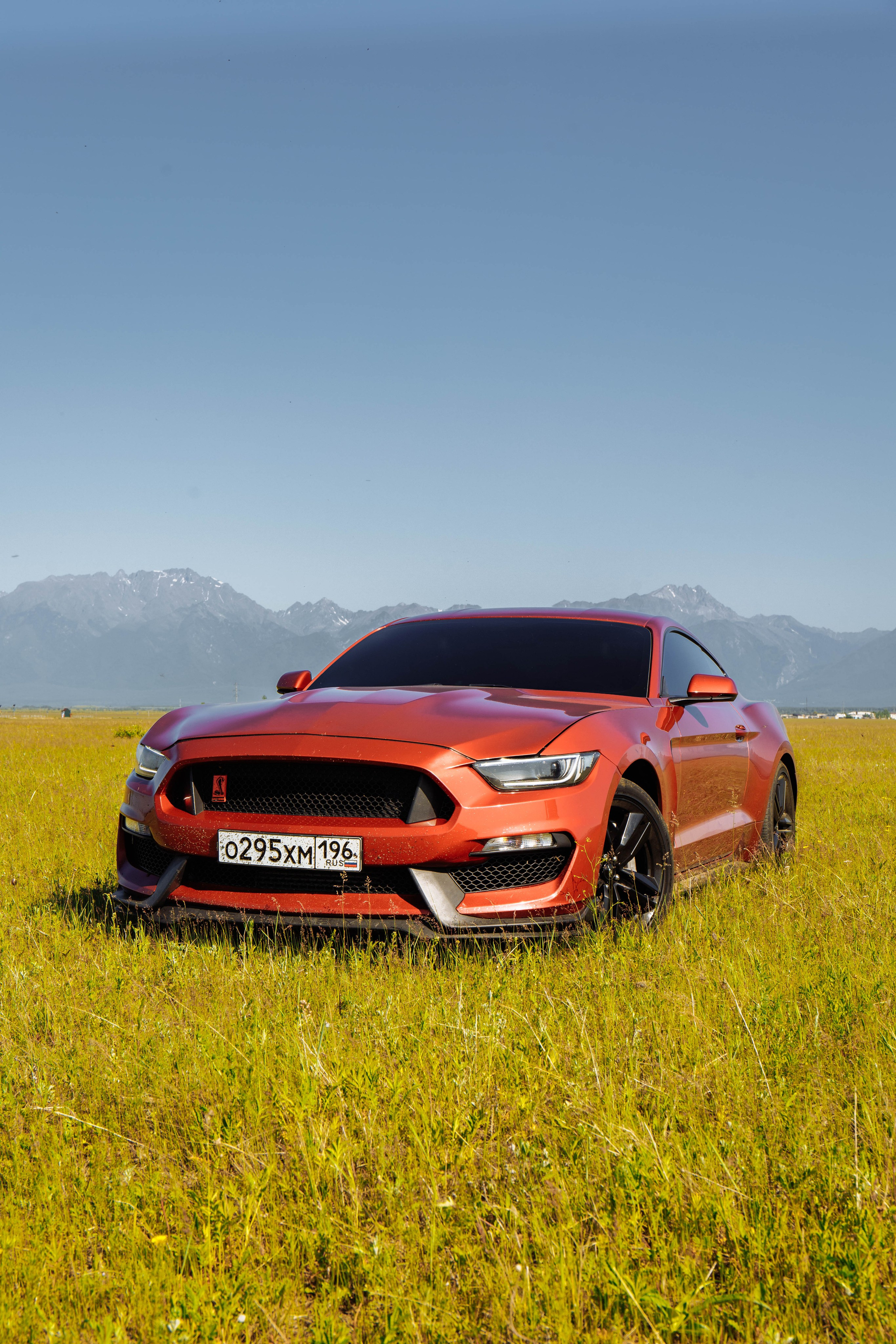 MUSTANG. Репортажный фотограф в Иркутске — Ярослав Ковалёв