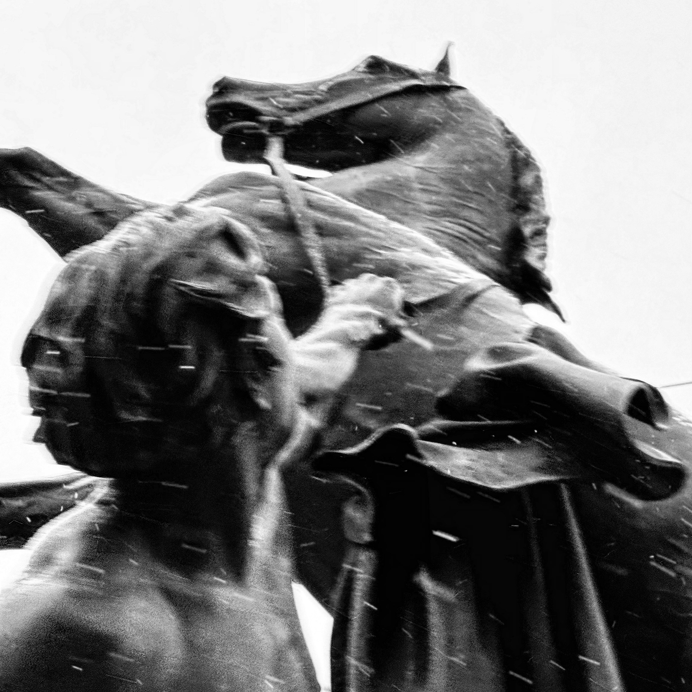 Работы с телефона. Свадебный фотограф в Москве Сафонова Анна