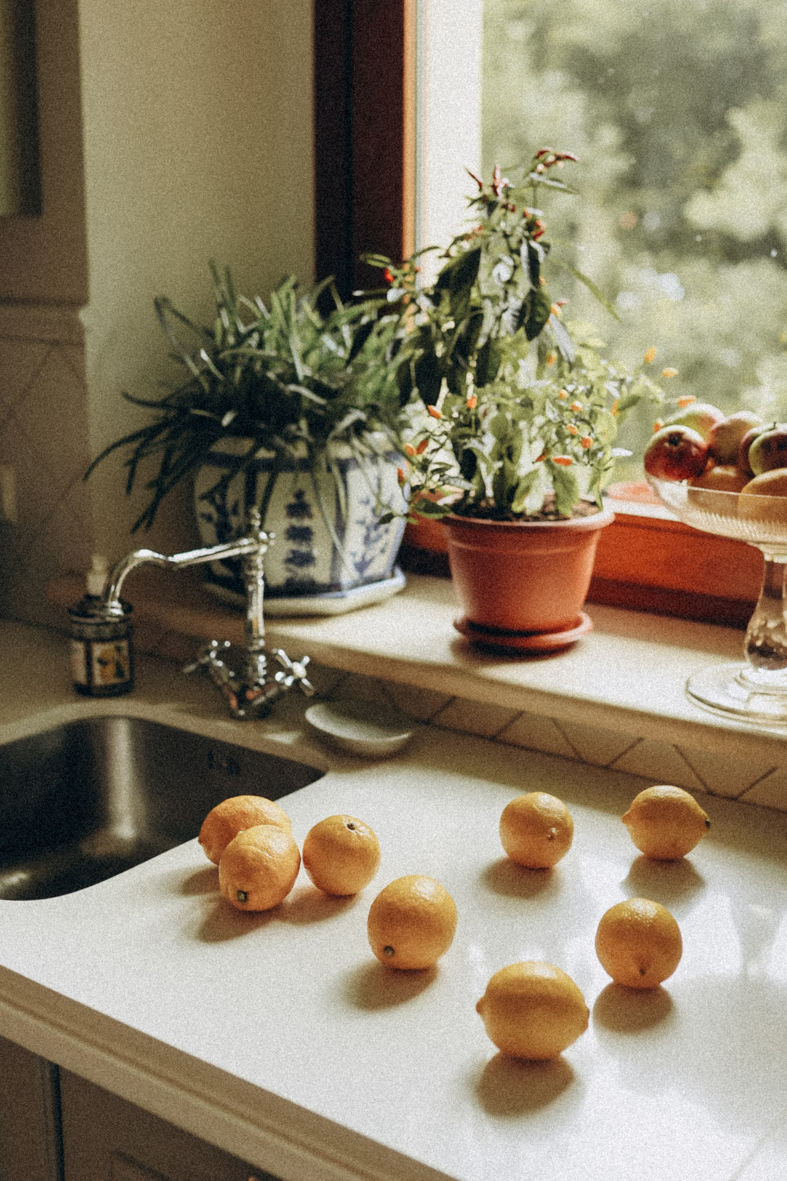 Villa Rossa. Елена Гореликова фотограф в Москве