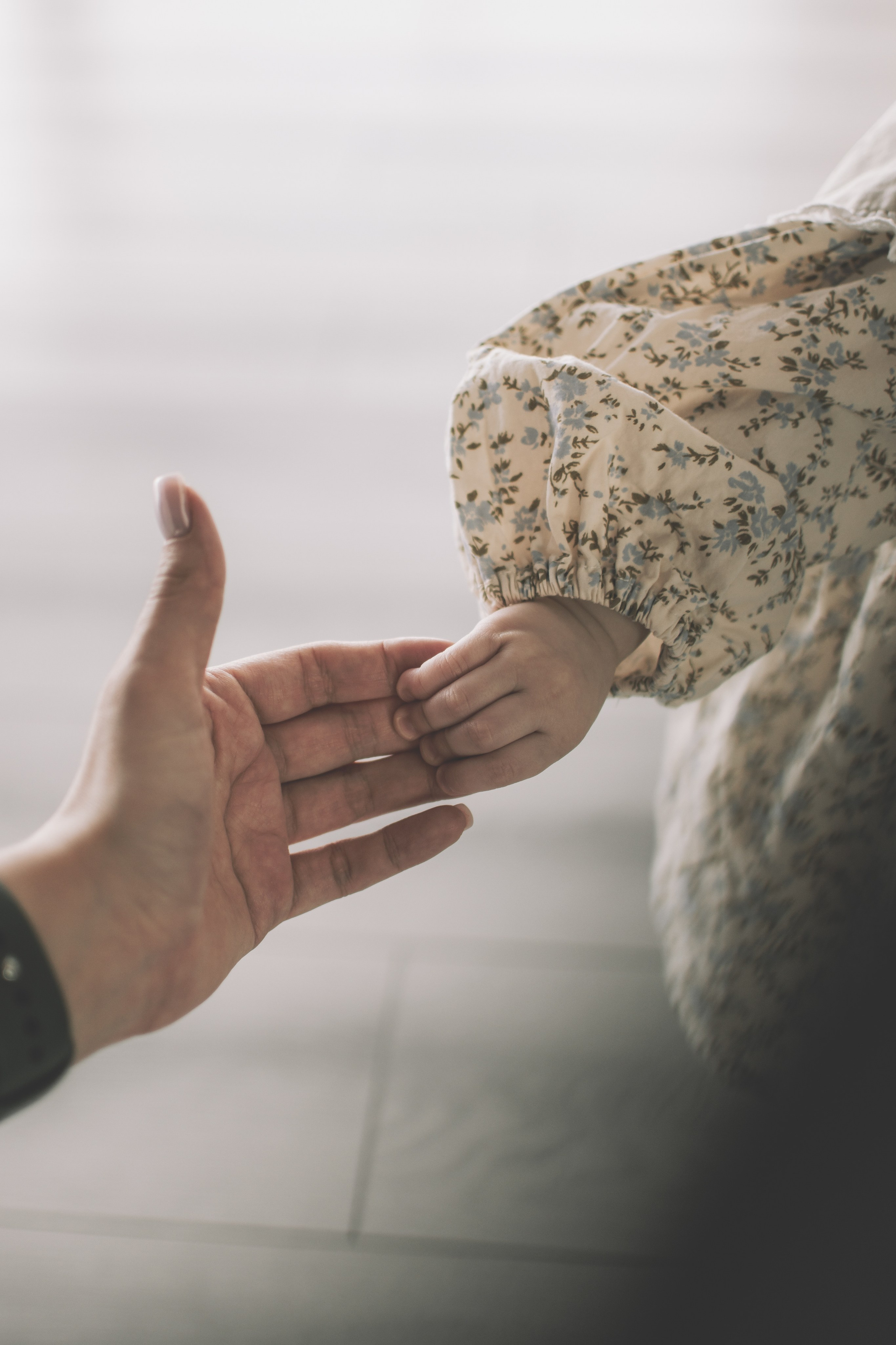 Начальнице годик!. Семейный и свадебный фотограф Губкинский и Ставрополь