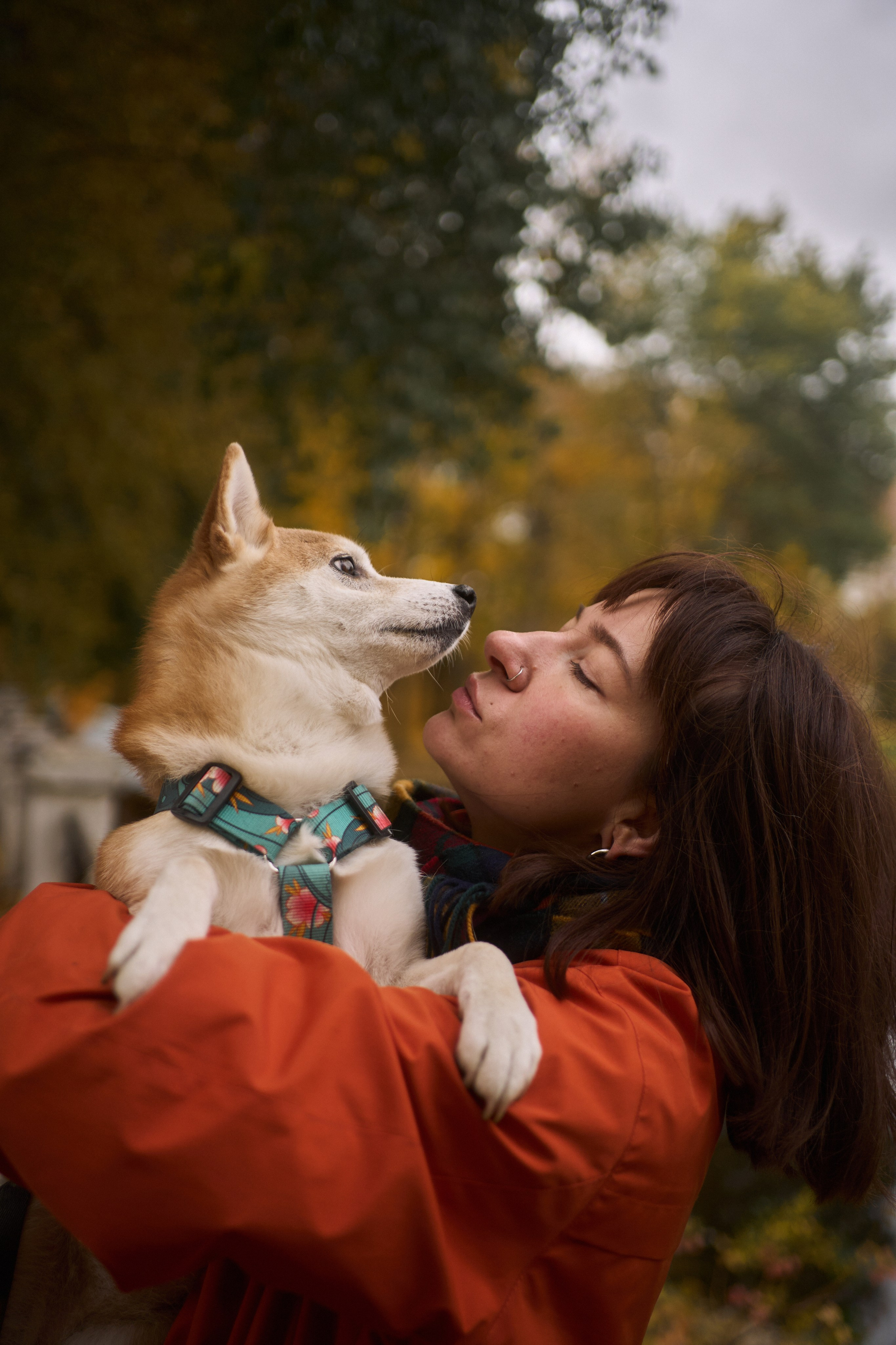 Осенние Уши. Фотограф анималист Москва Дарья