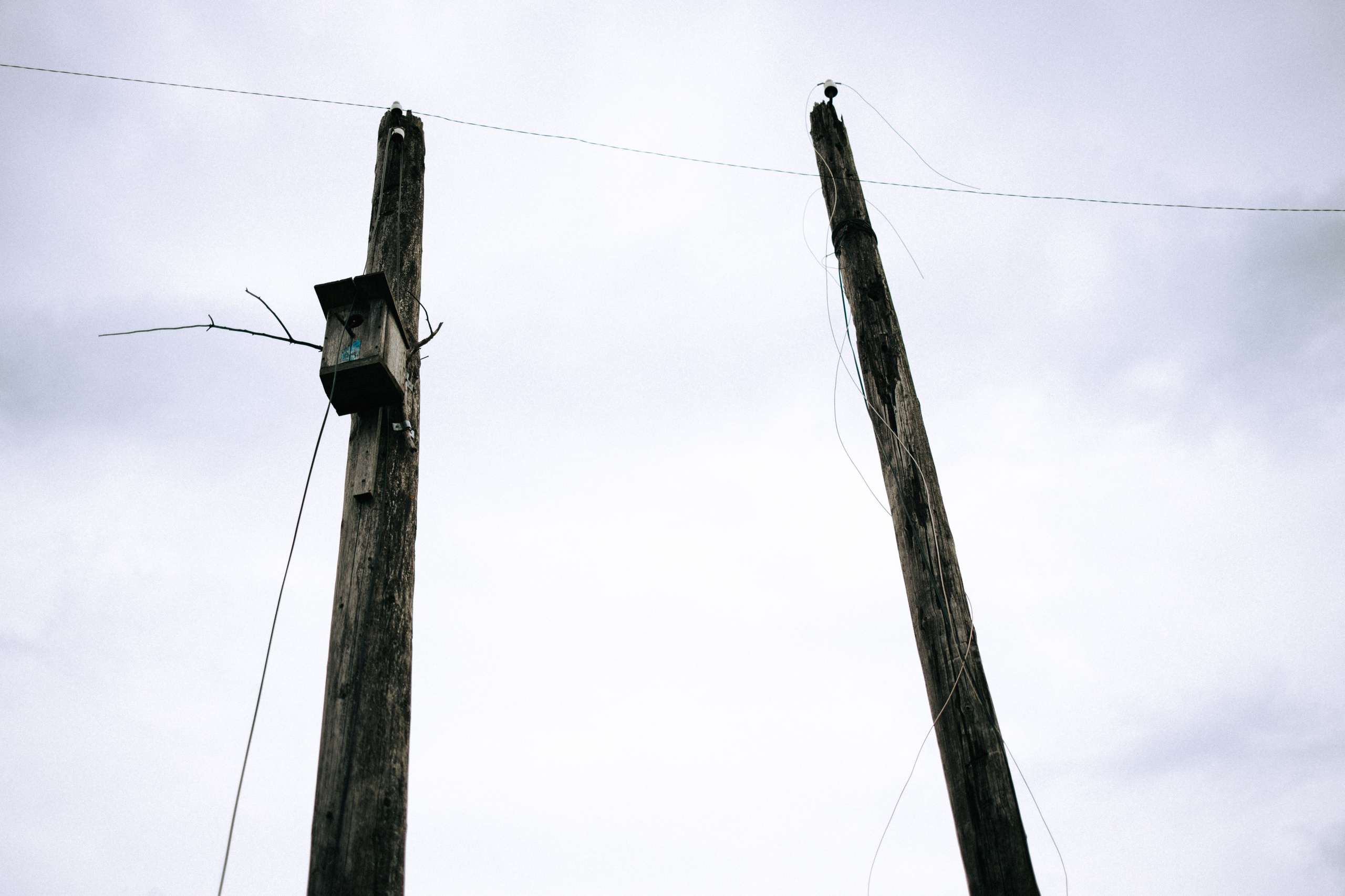 Прогулка по Криволучью. Свадебный и семейный фотограф в Туле и области Маша Костина