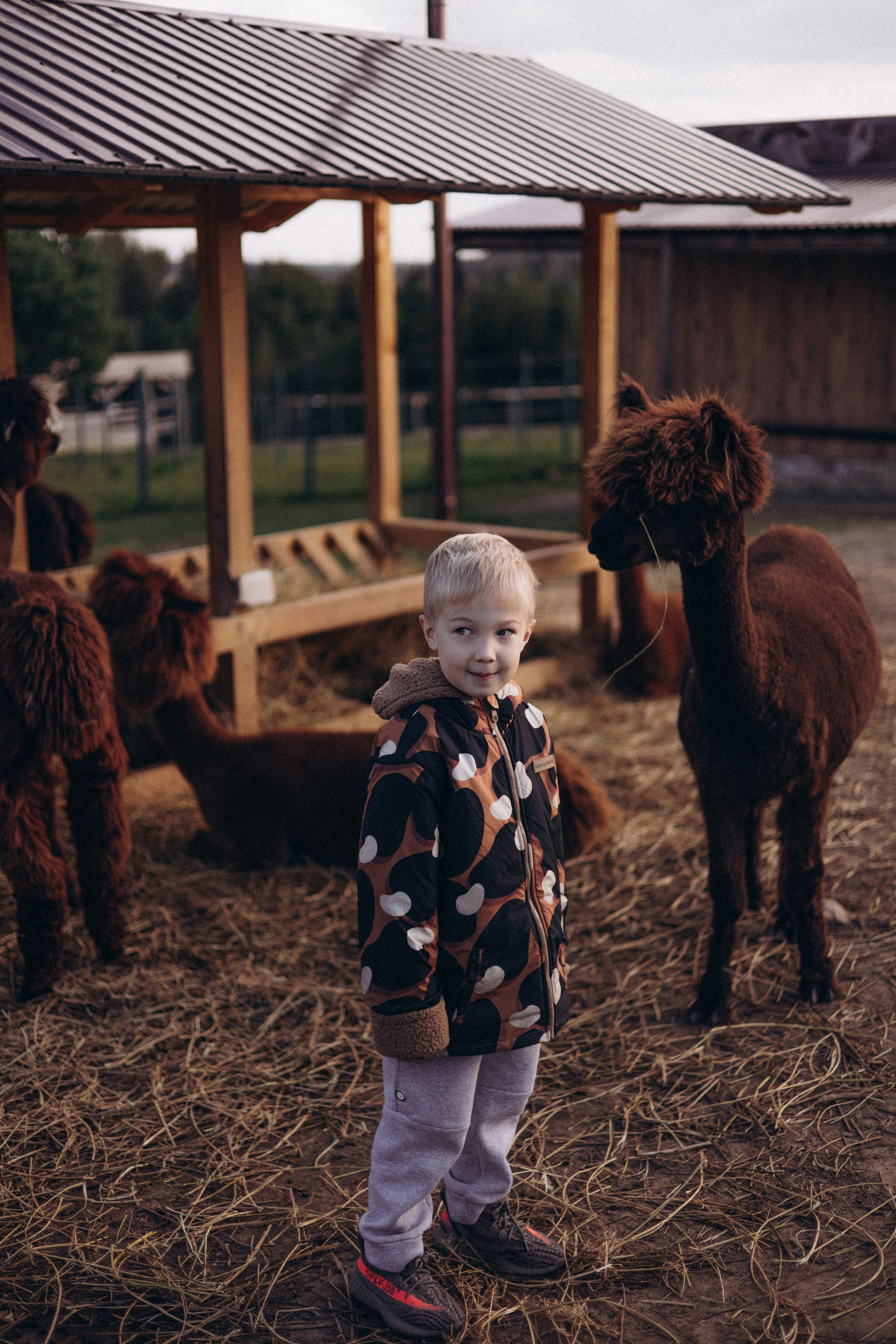 Про семью. Семейный фотограф в Москве