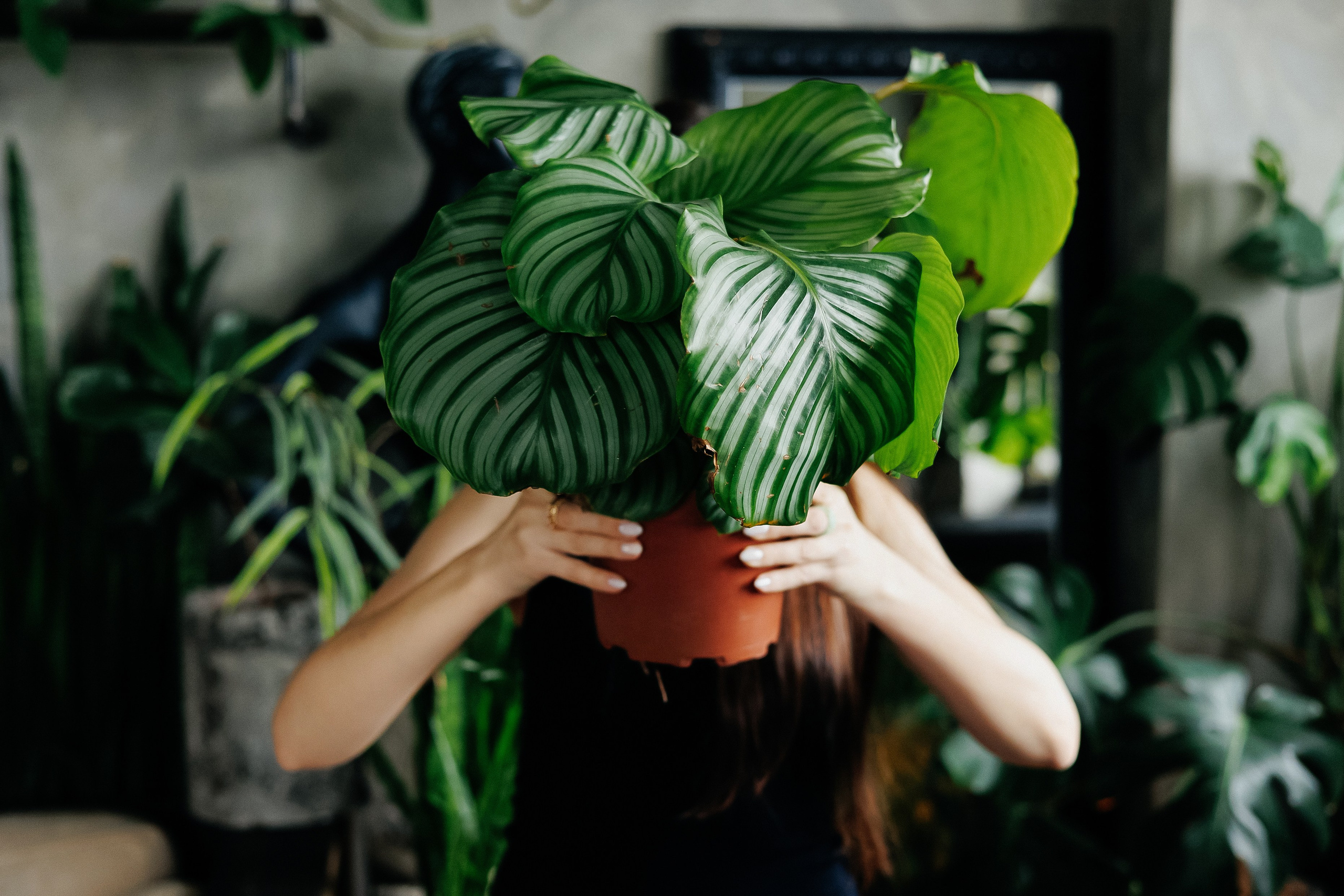 анисина анна, фотограф в Иваново, лучший фотограф в Иваново, семейный фотограф, индивидуальная съемка, свадебный фотограф 