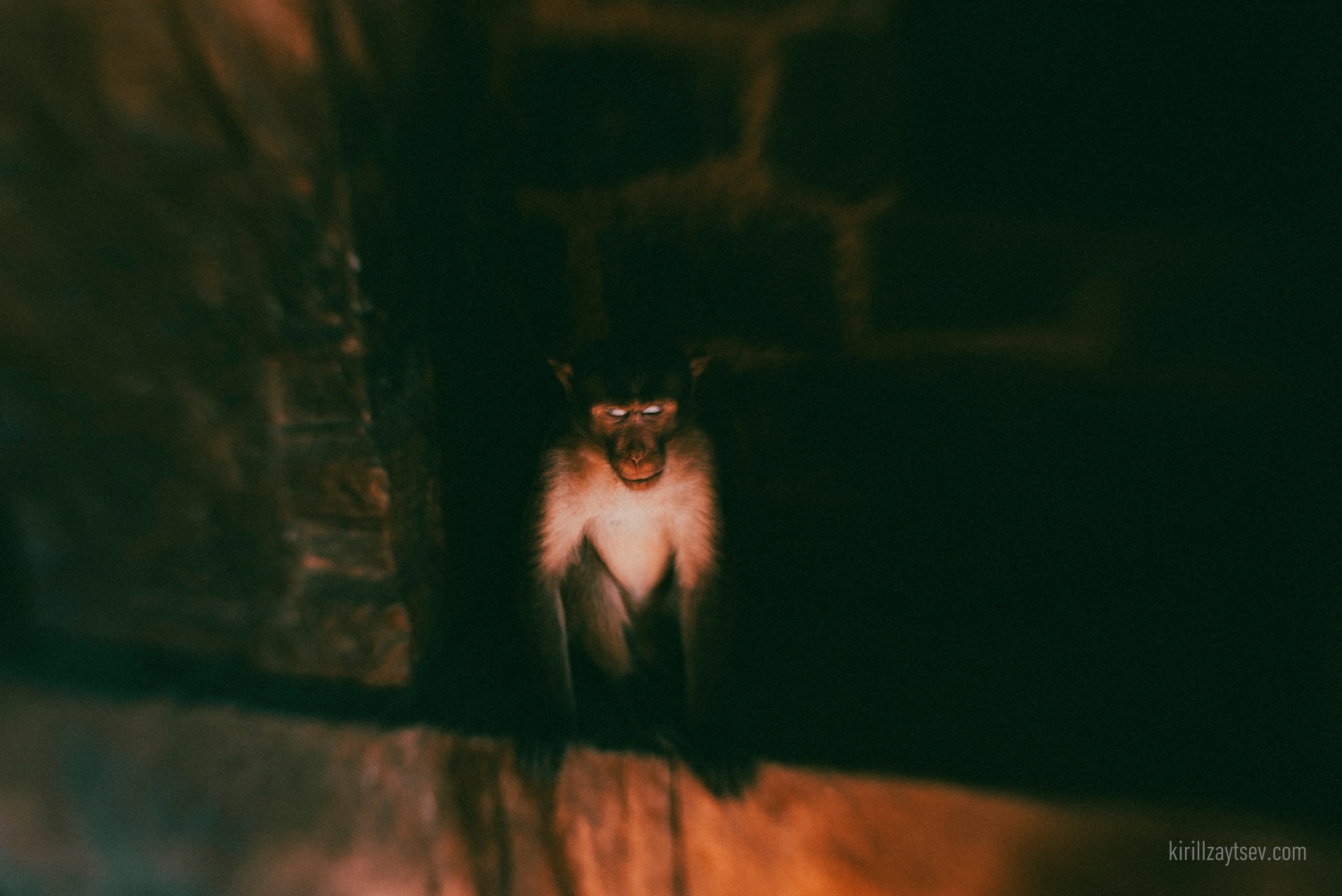 Жизнь. Профессиональный фотограф Кирилл Зайцев