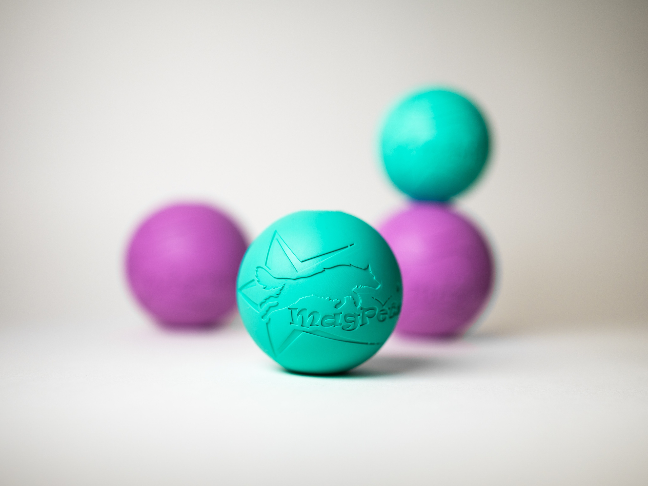 Magpetz. Семейный фотограф анималист Ананьева Мария — Москва