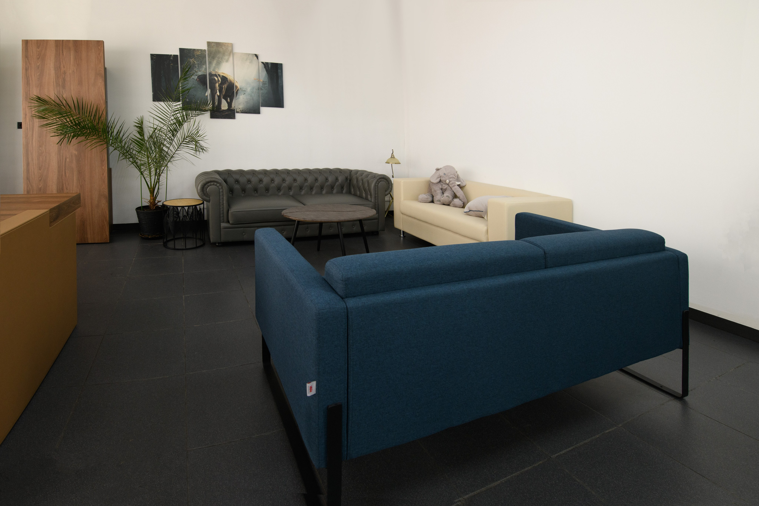 Интерьер мебельного салона Юнитекс. Профессиональная фотосъемка. Ростов-на-Дону