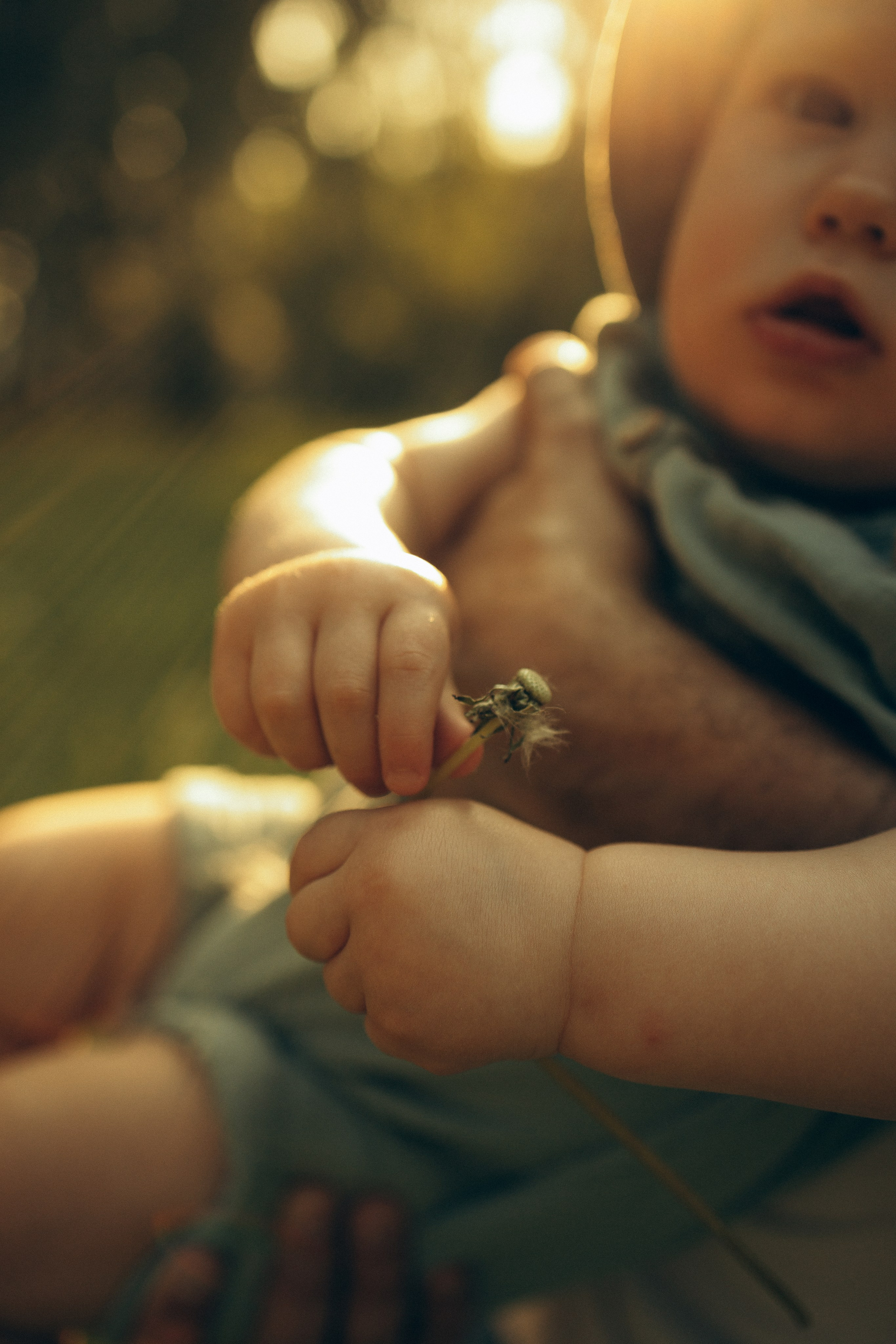 На природе. Семейный фотограф Новосибирск Фотограф на выписку Новосибирск