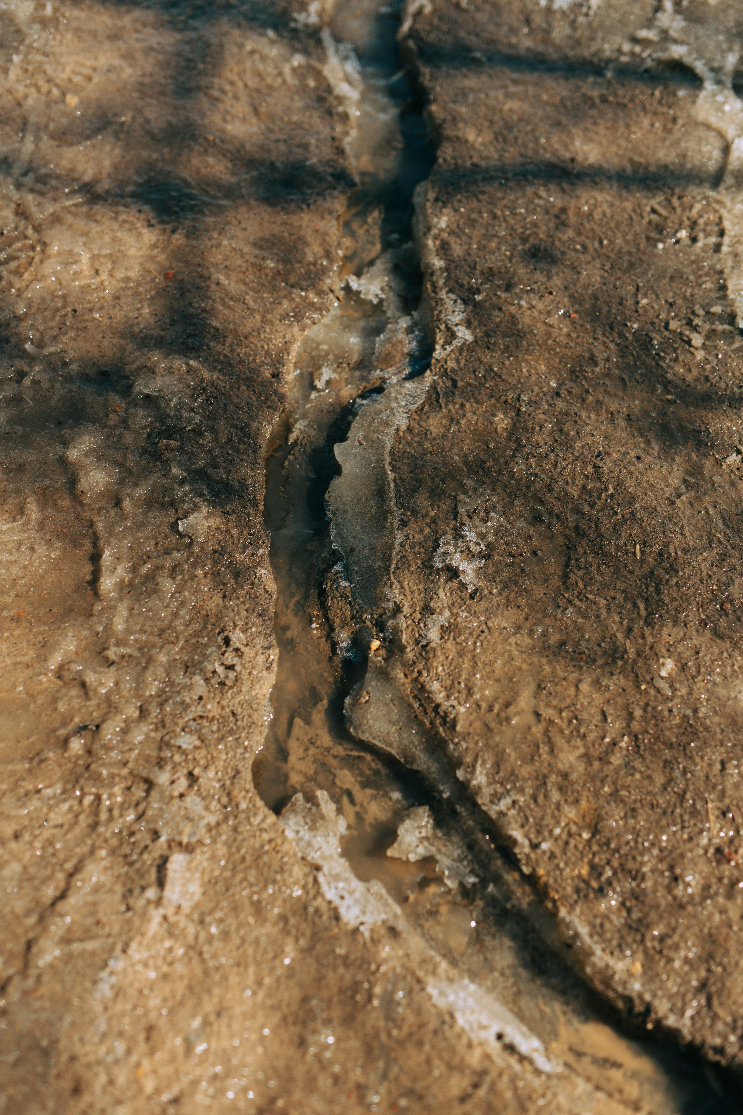 Ефремов. Свадебный и портретный фотограф — Мария Костина