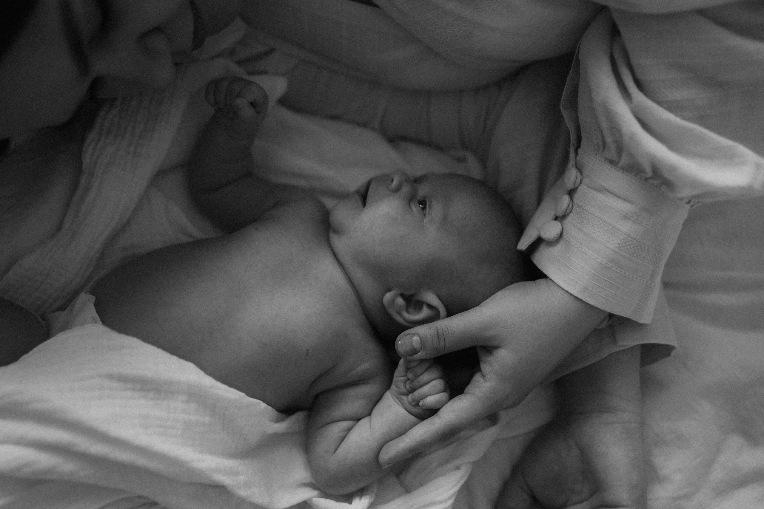 Семейная история. Семейный, портретный фотограф Новосибирск. Оля Адова