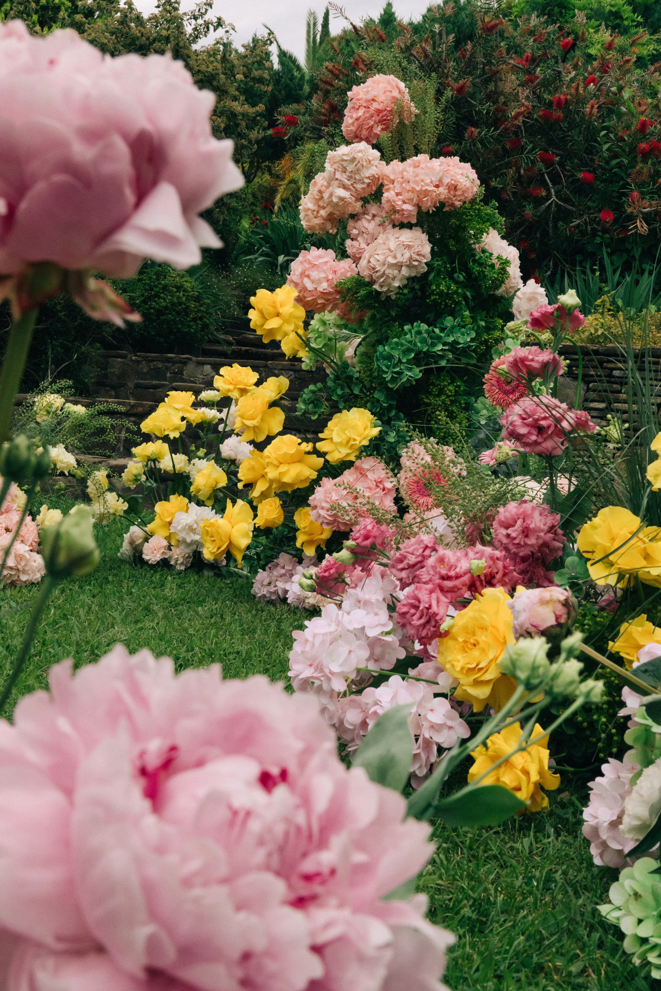 @fruits_family_wedding. Свадебный и репортажный фотограф в Москве Владимир Сергеев | Naysaikolo