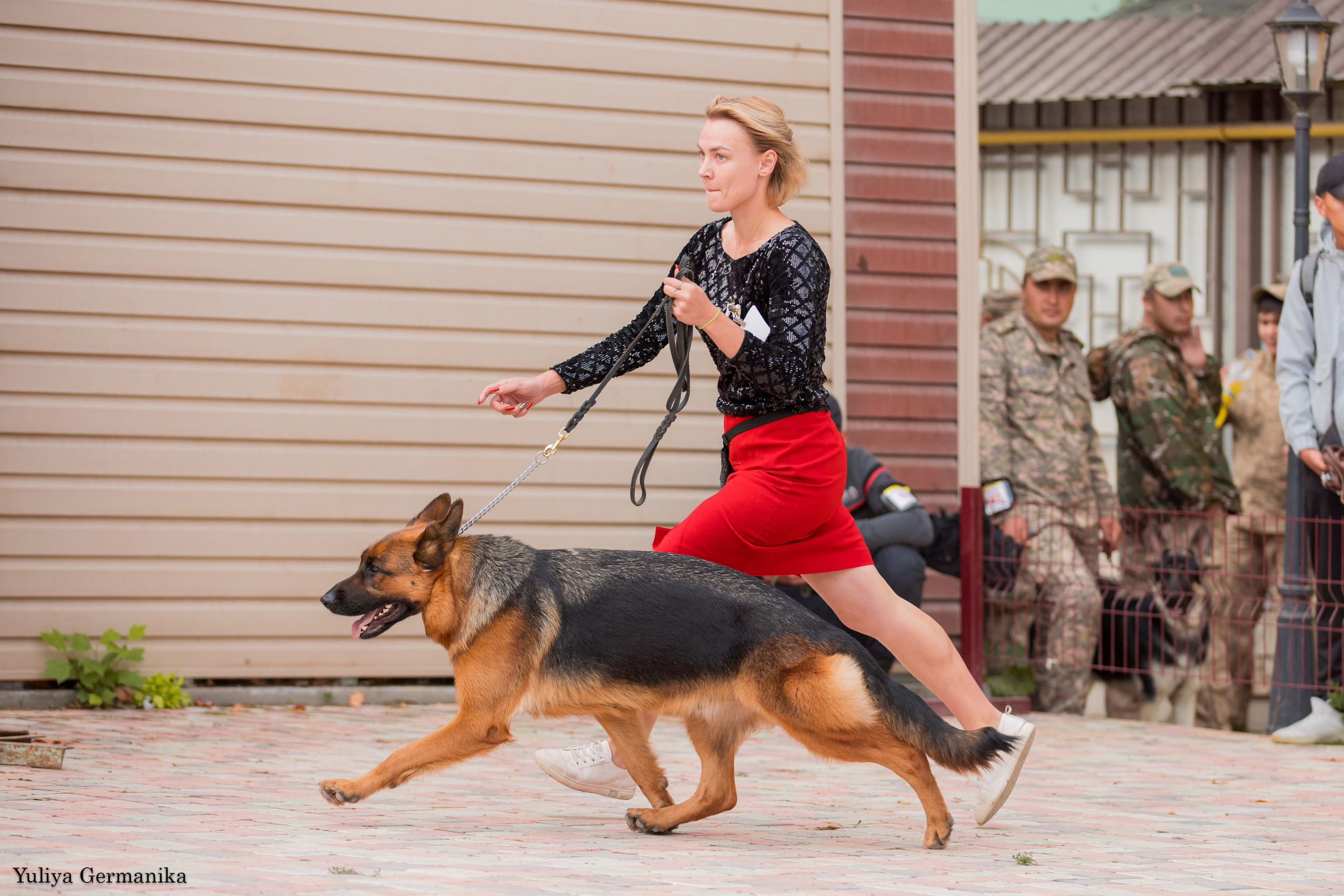 Ташкент 6-8.10.2023 + Алматы 14-15.10.2023. Фотограф-анималист Юлия Германика