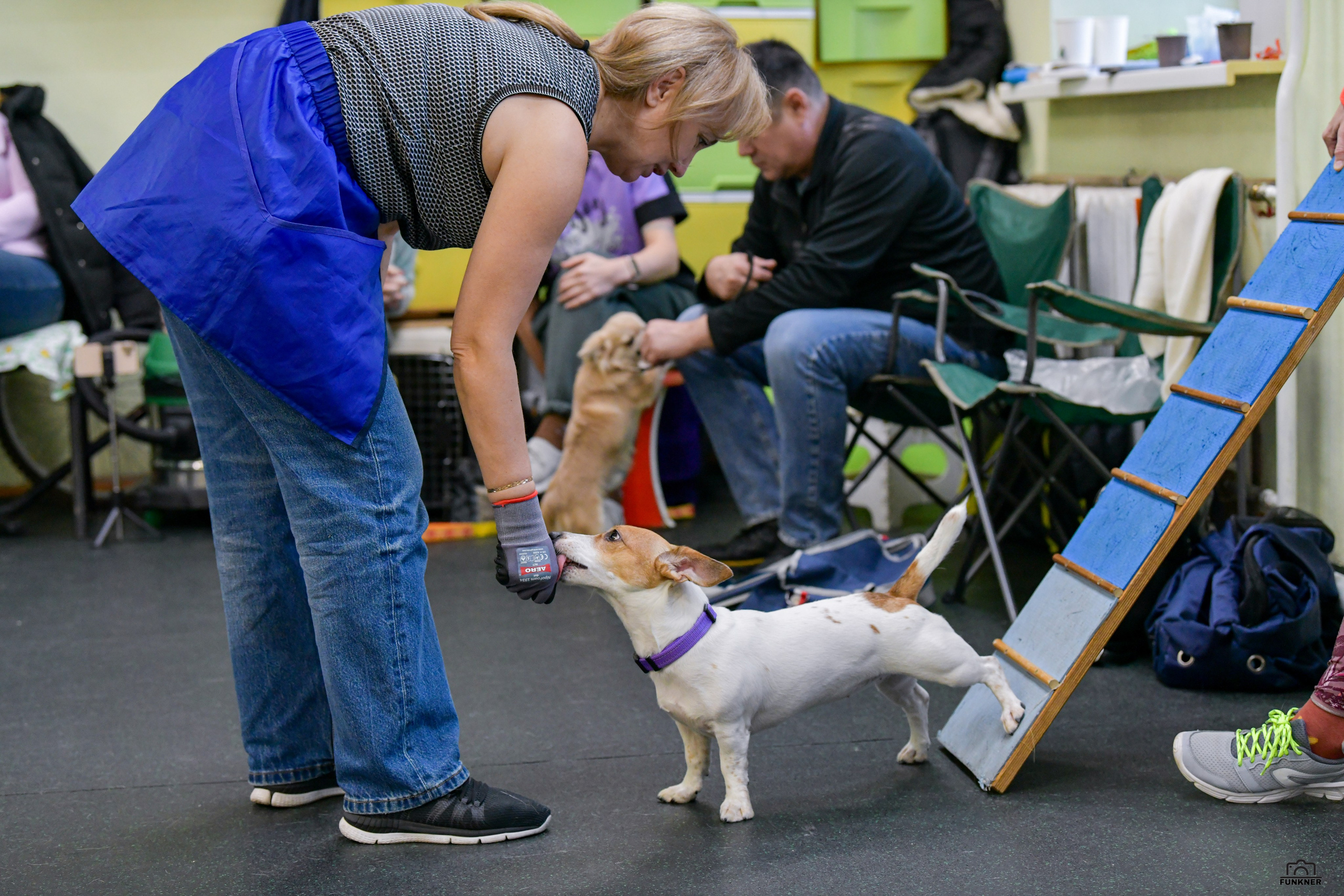 Кинологический клуб «Бодрый хвост». Свой взгляд через объектив
